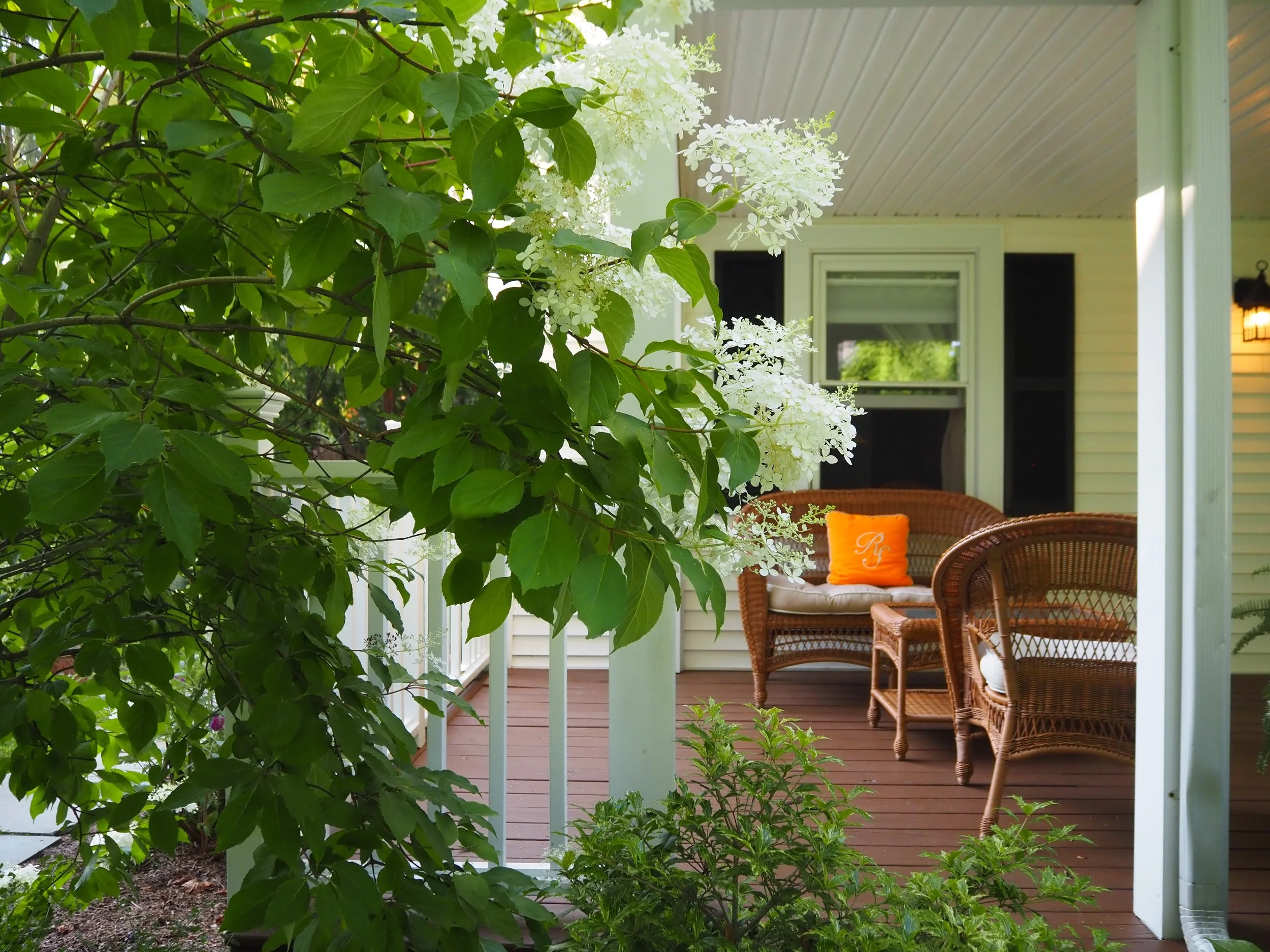 2F1347E3-FE3E-4141-B84C-8A0DB992C308 (1).jpeg