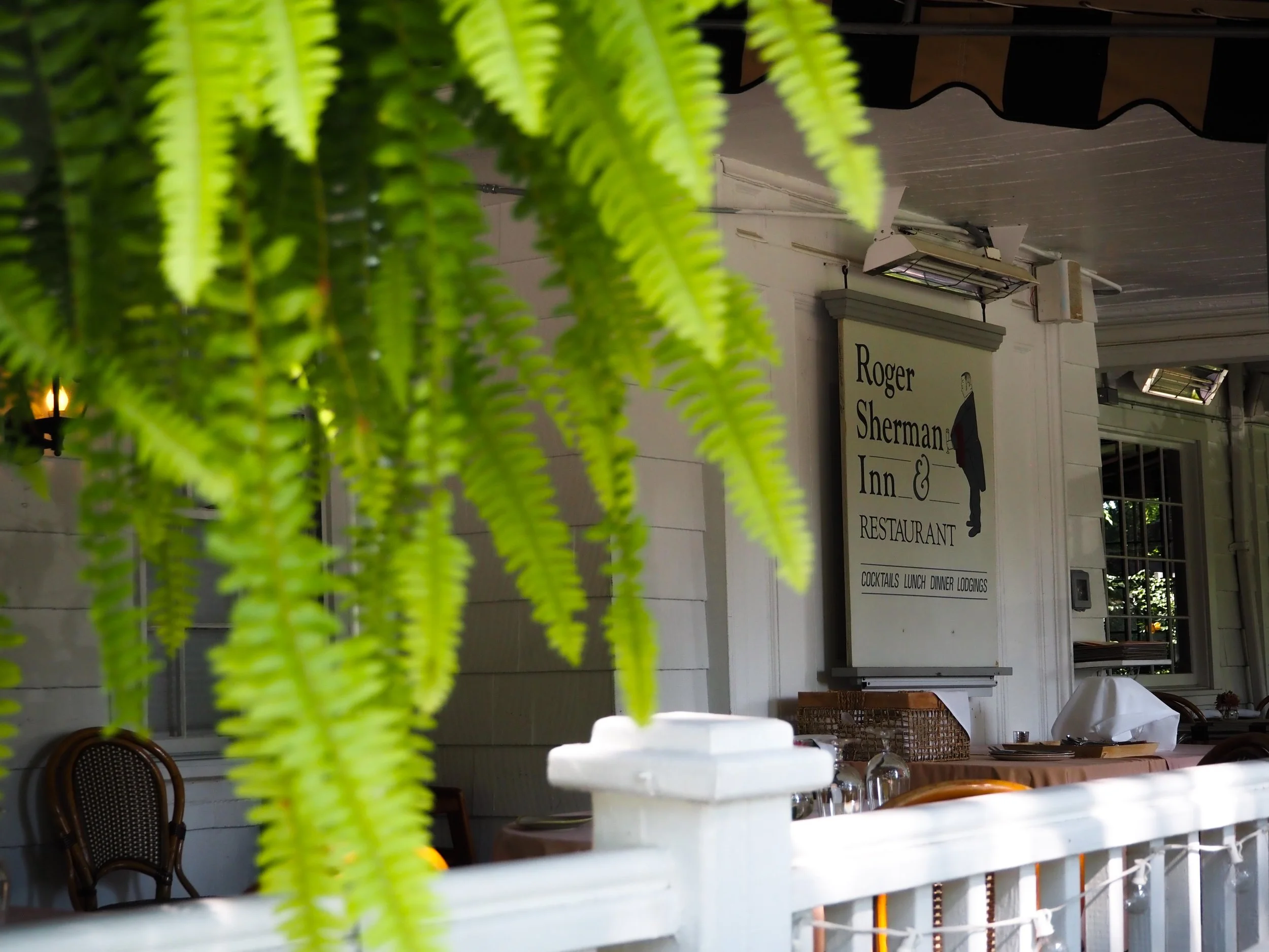 960127E7-89FE-49DA-85A1-4263DCAD2A01 (1).jpeg