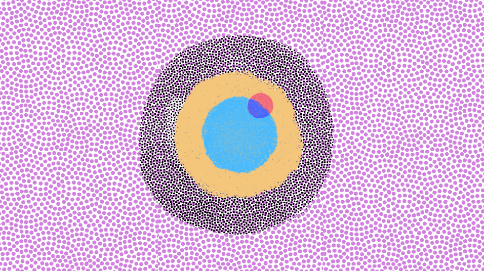 Screen Shot 2018-08-06 at 11.55.05 AM.png