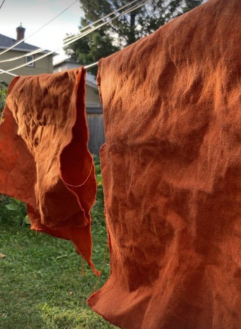 natural dye #1.jpg