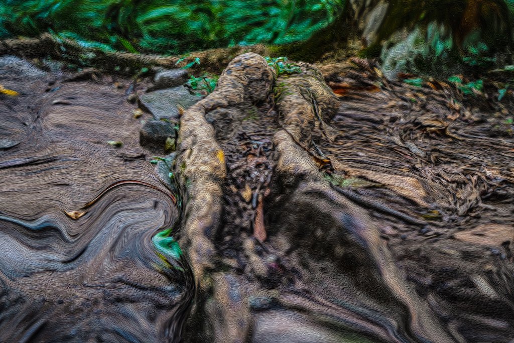 Textures of The Forest-1 copy 2.jpeg