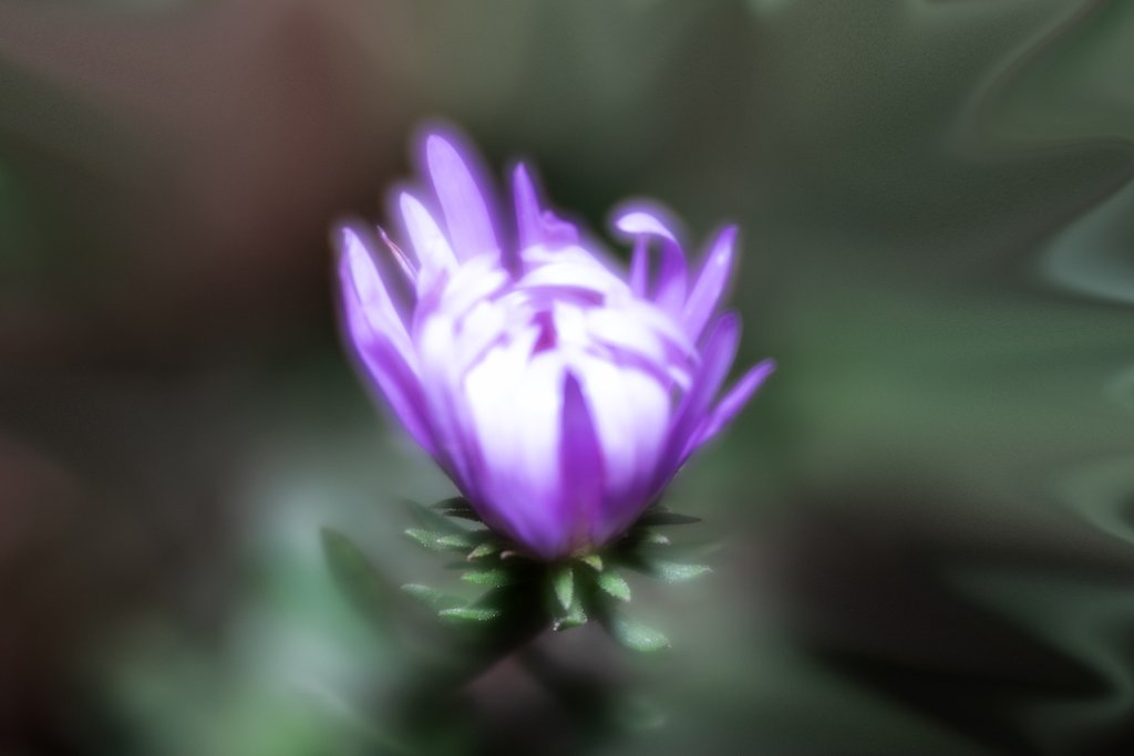 Turmultuous in Beauty-1 copy.jpg