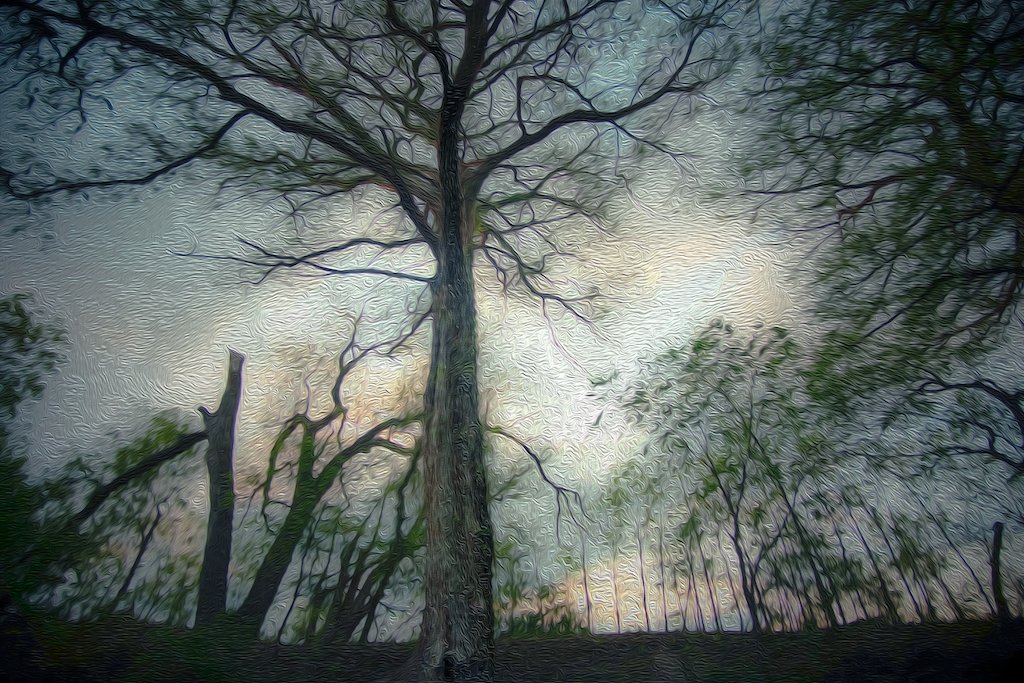 Foreboding Beauty-1 copy.jpg