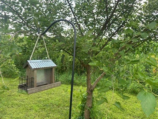 L2.jpg