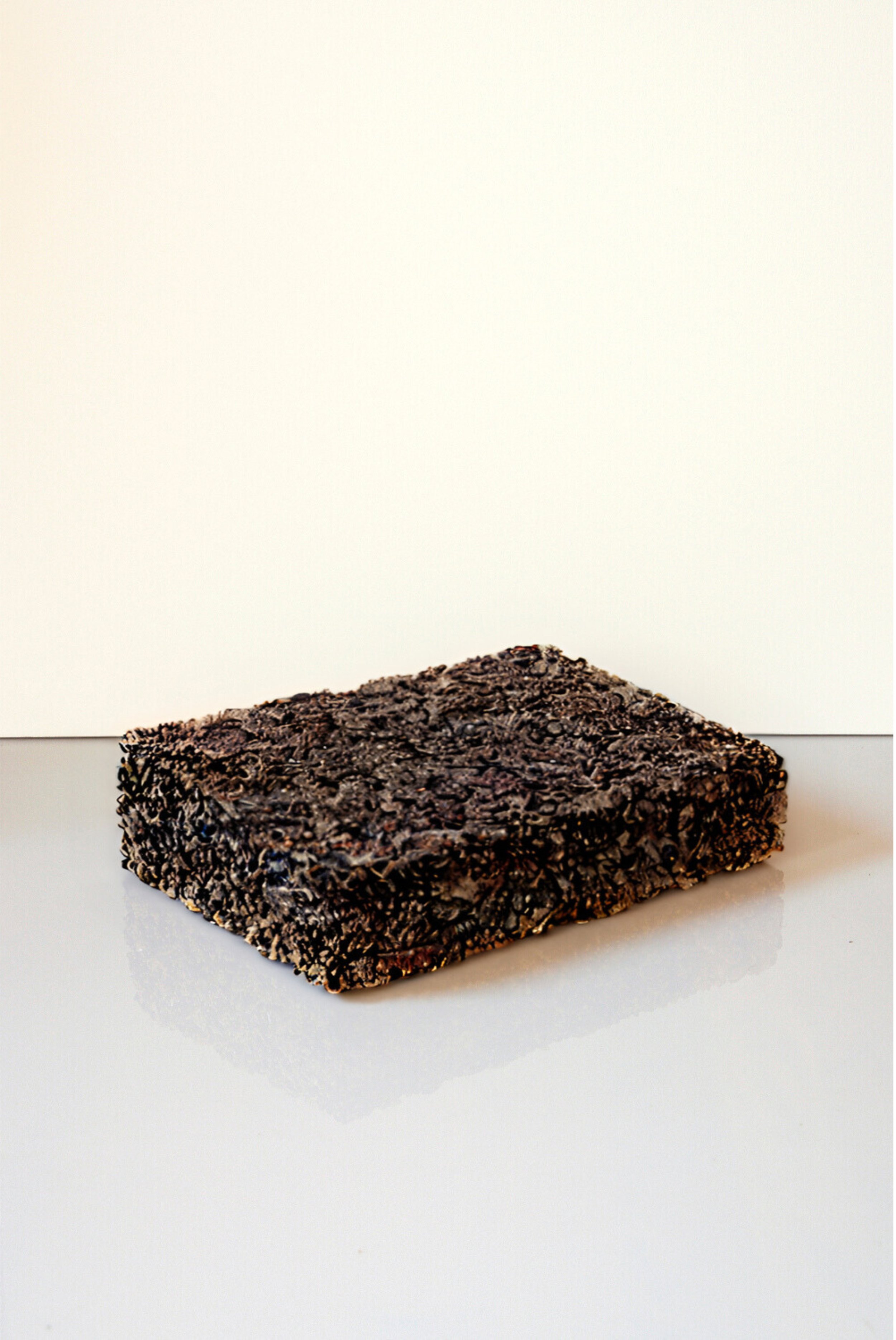 blacksunflower.jpg