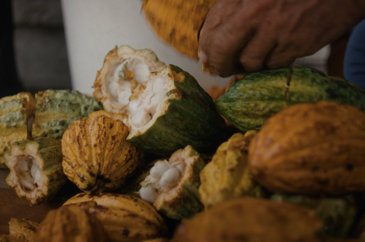 Screenshot 2026-03-24 at 10.22.05 AM.png