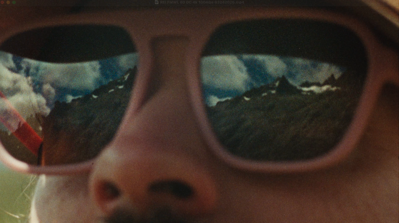 Screenshot 2026-03-24 at 2.54.05 PM.png