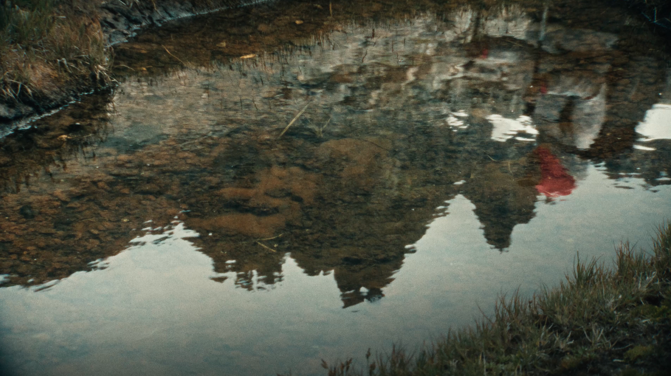 Screenshot 2026-03-24 at 2.55.28 PM.png