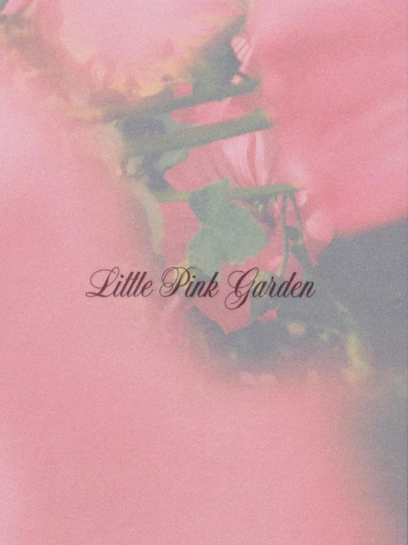little-pink-garden-logo-design.jpg
