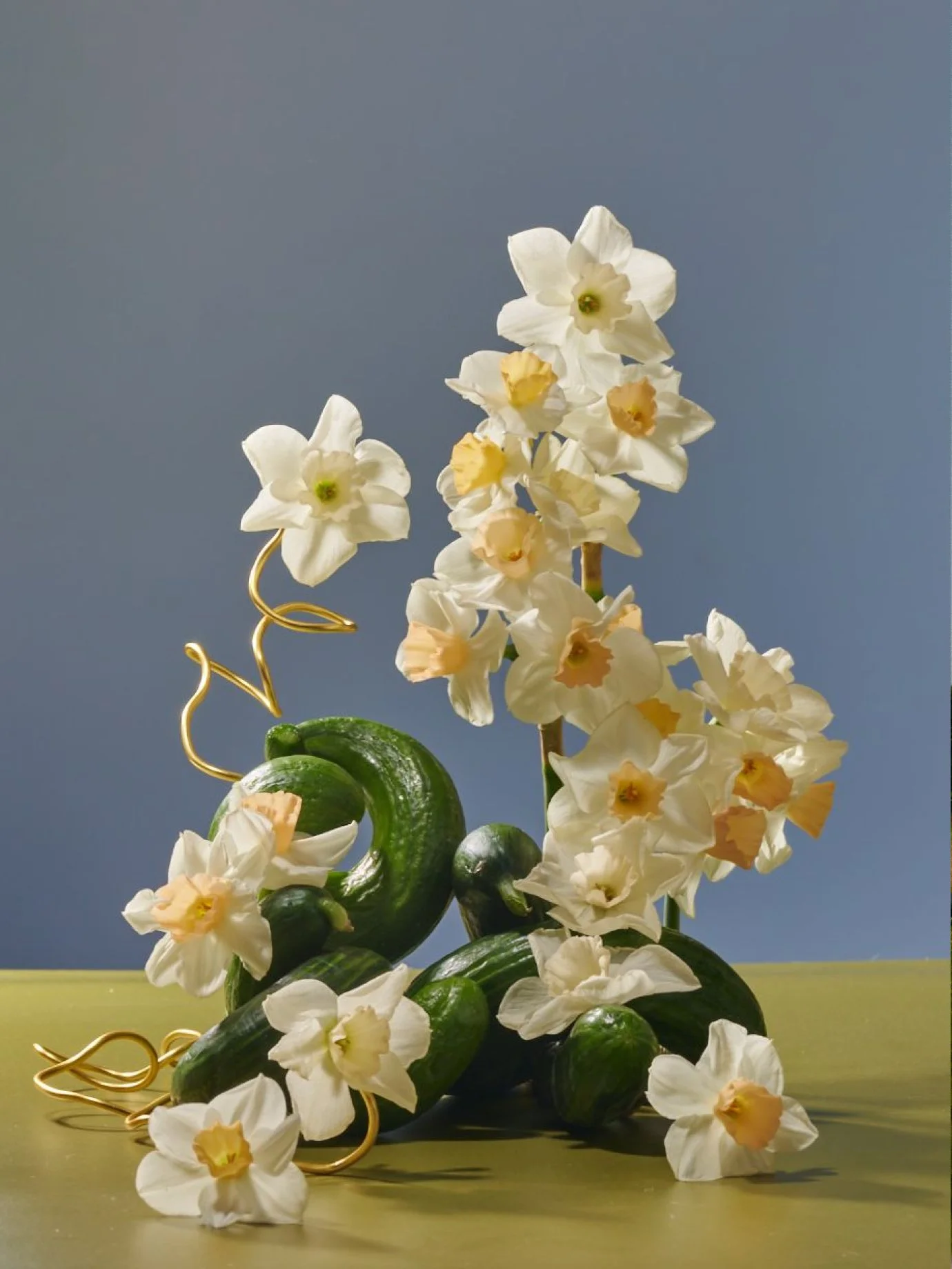 little-pink-garden-flower-farm-daffodils.jpg
