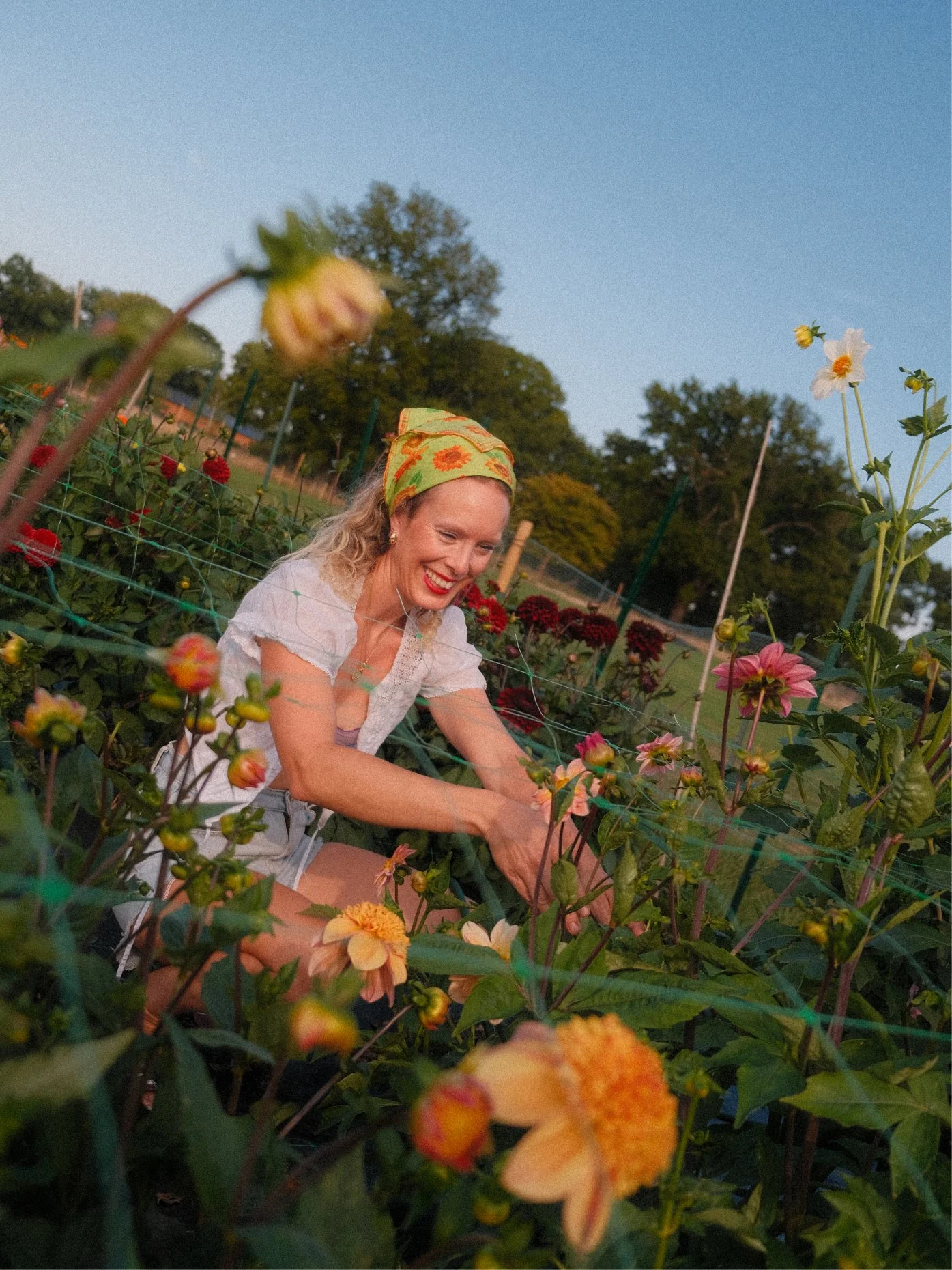 flower-farmer-little-pink-garden-surrey.jpg