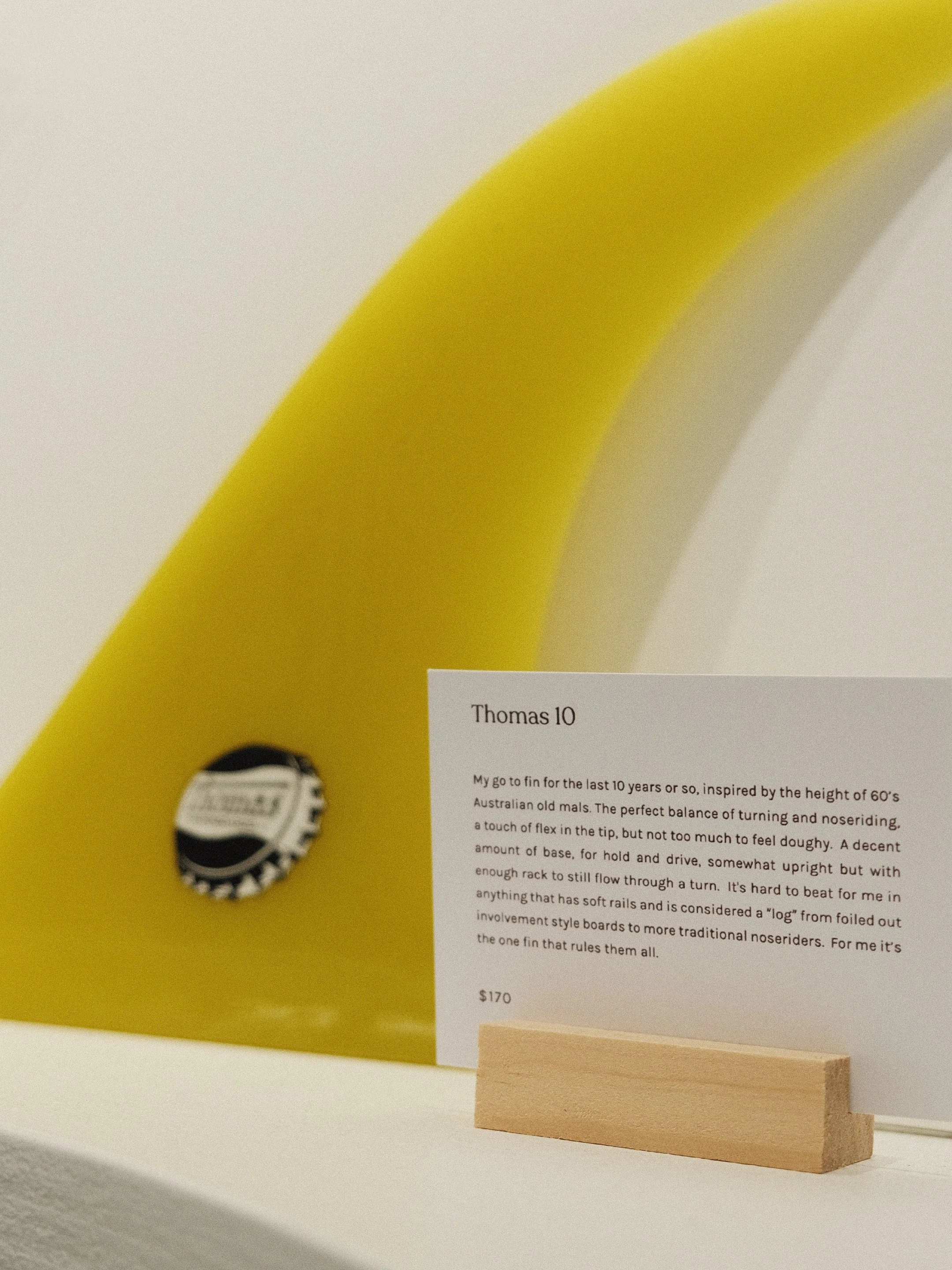 the-boardroom-branding-rainbow-beach-3.jpg