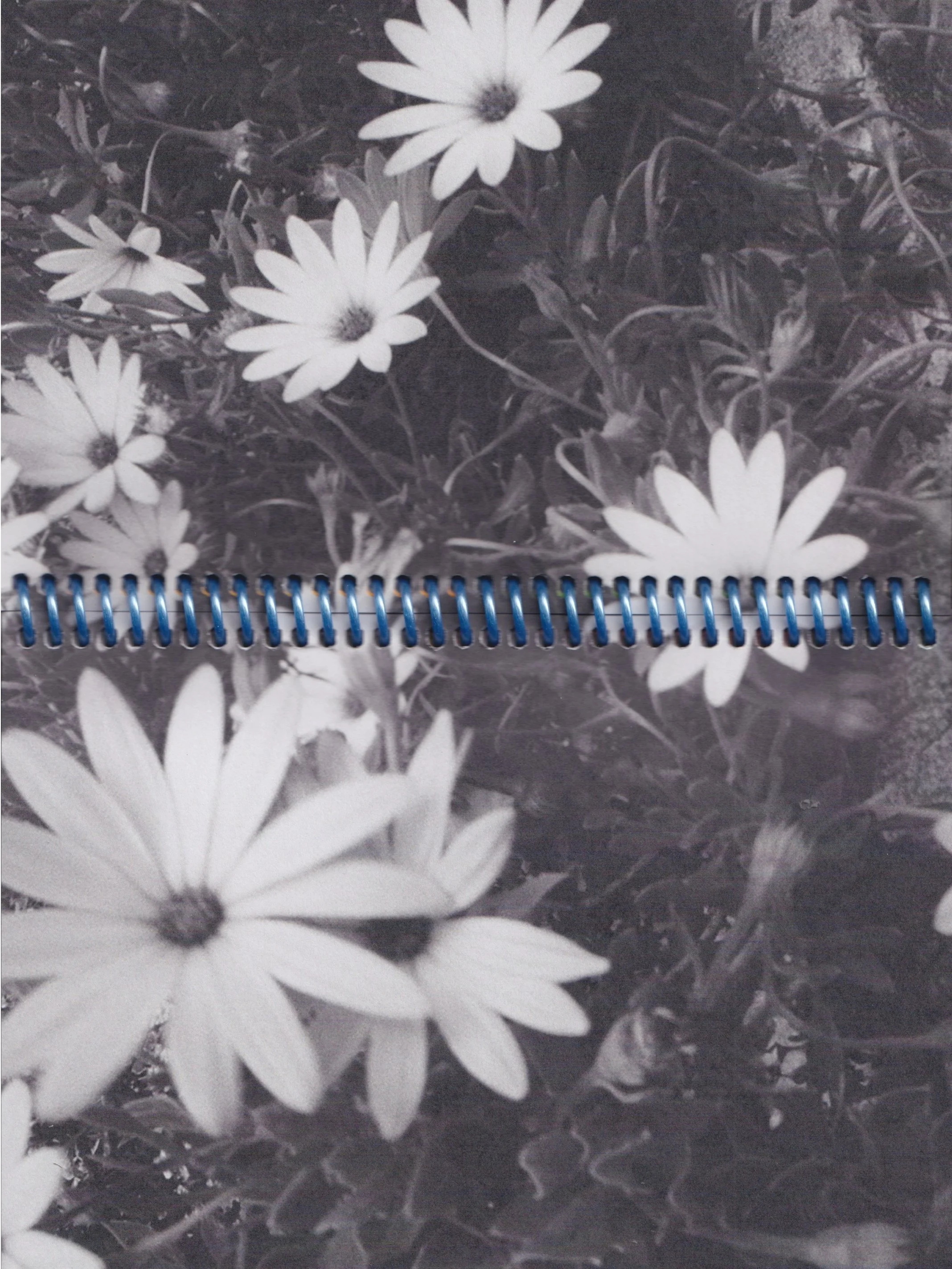 flower-archive-zine-1.jpg