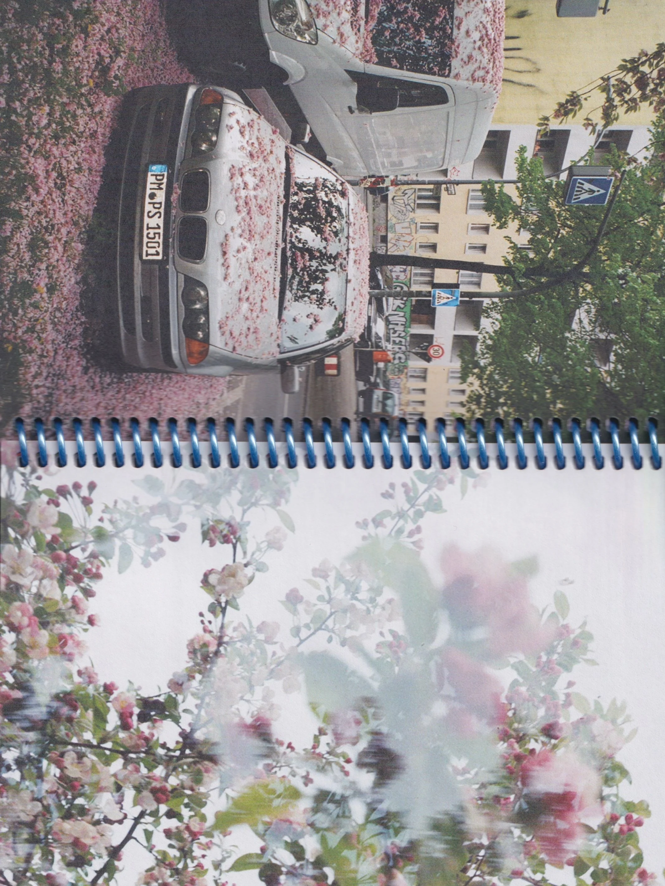 flower-archive-zine-3.jpg