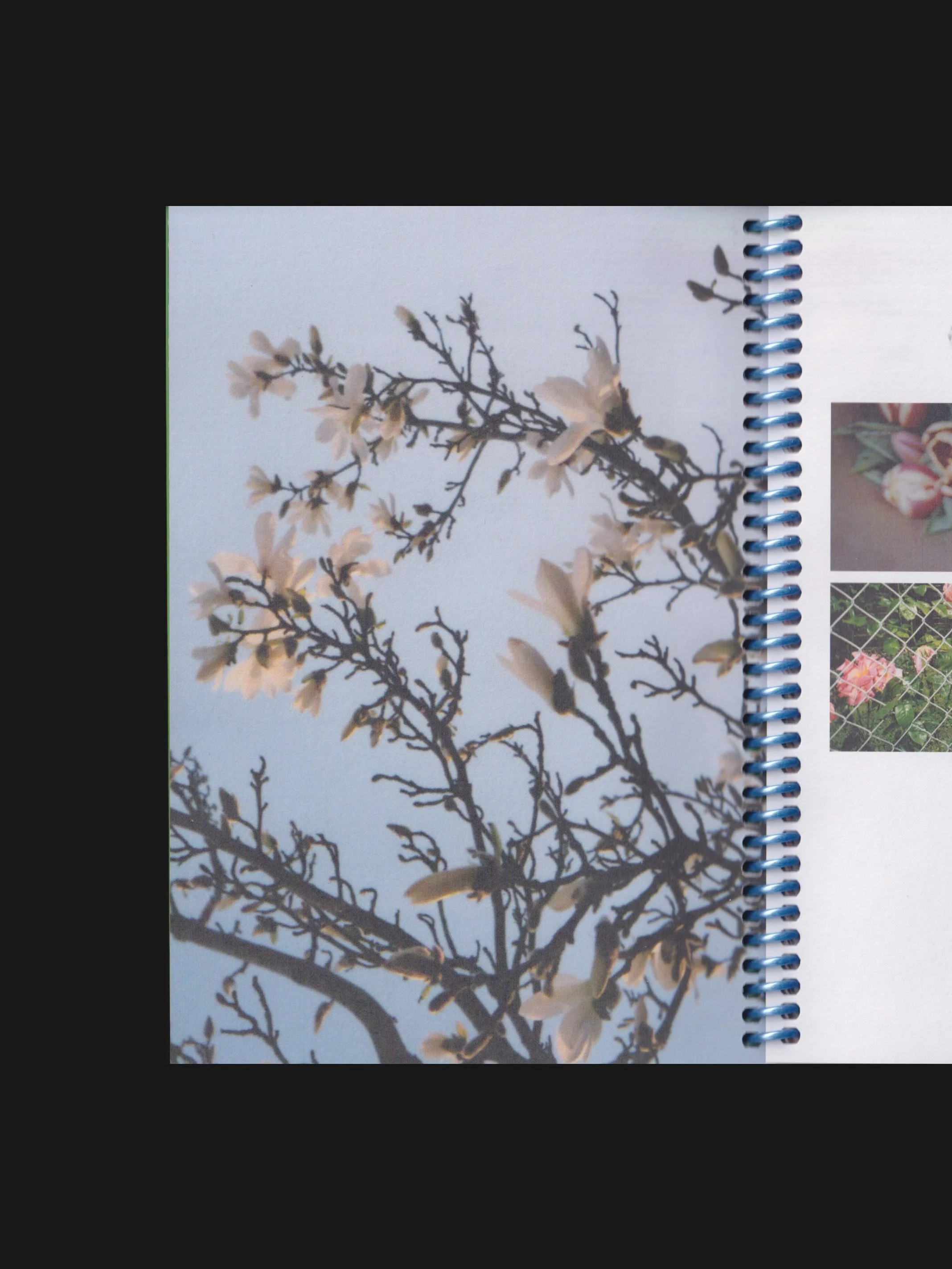 flower-archive-zine.jpg
