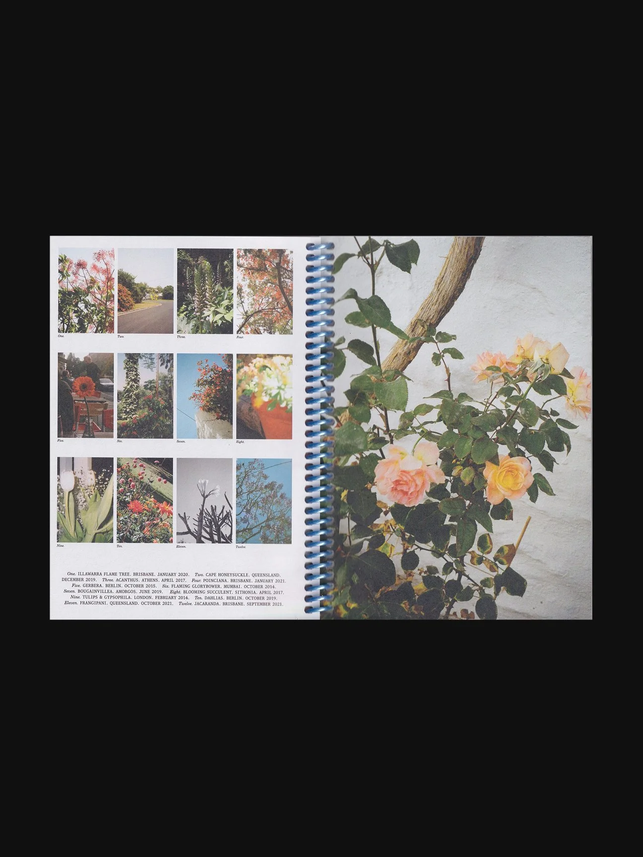 branding-studio-sunshine-coast-doing-me-doing-you 37.jpg