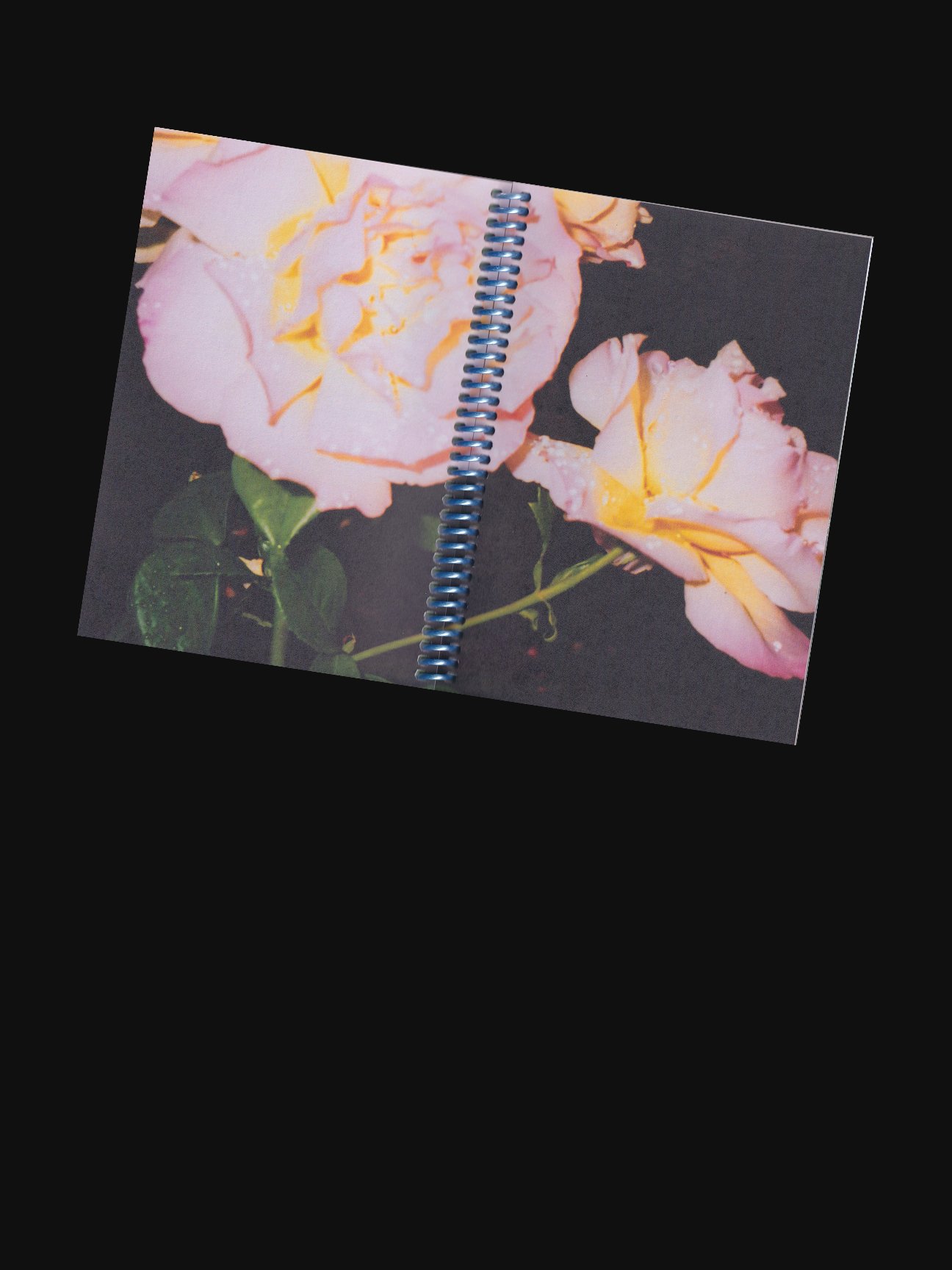branding-studio-sunshine-coast-doing-me-doing-you 31.jpg