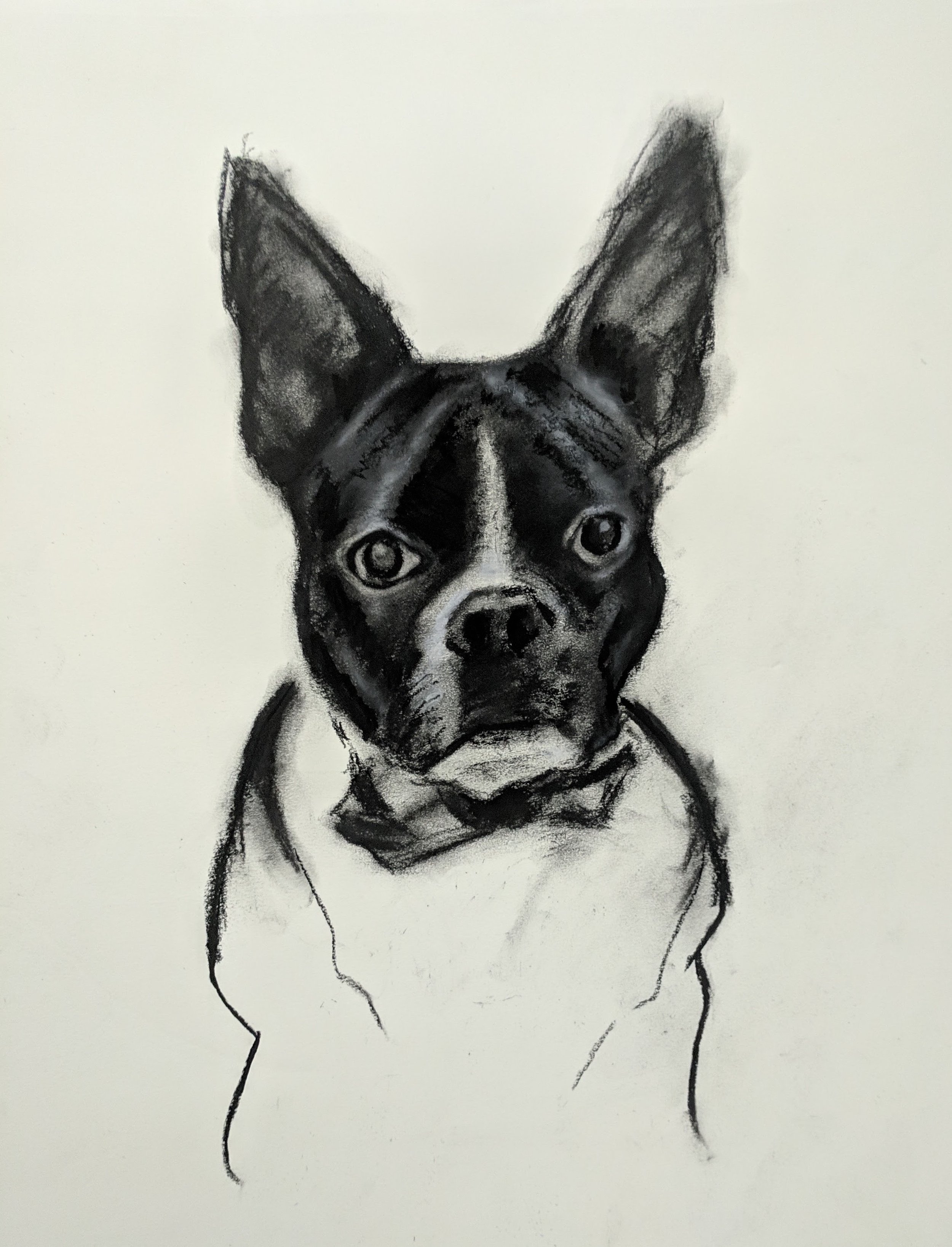 Sebastian - 18 x 12