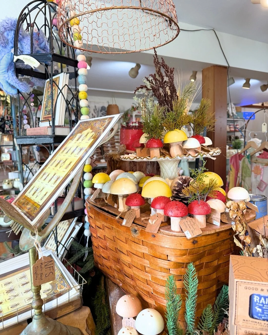 Walking into @astoriahomestore is like stepping into a masterclass on layering. Texture on texture, woven baskets beside playful ceramics, and whimsical details tucked in every corner. It feels like they&rsquo;ve bottled up a bit of Mendocino forest 