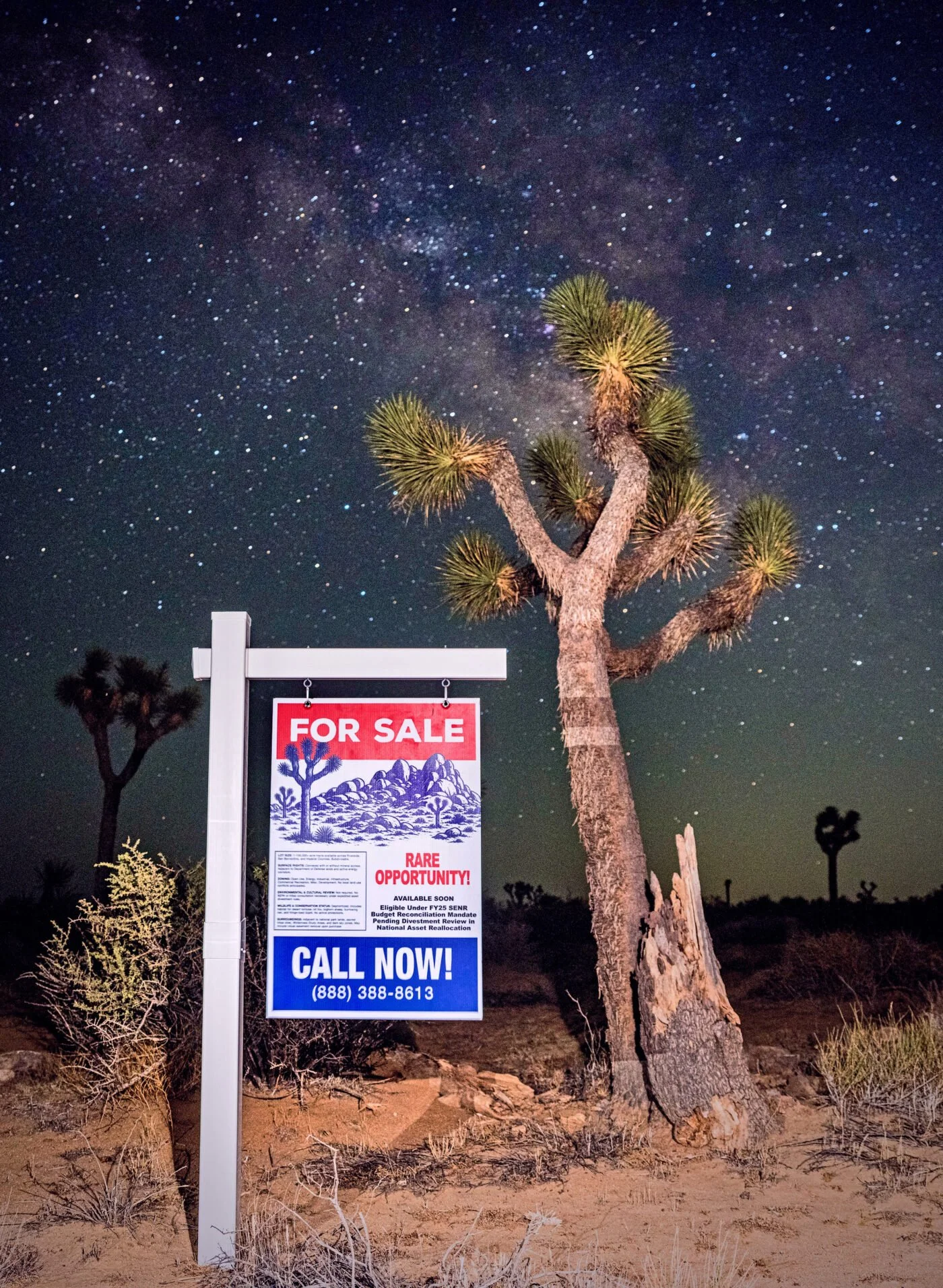 Not-For-Sale_Documentation_Mojave-6-22-25--1400x1913.jpeg