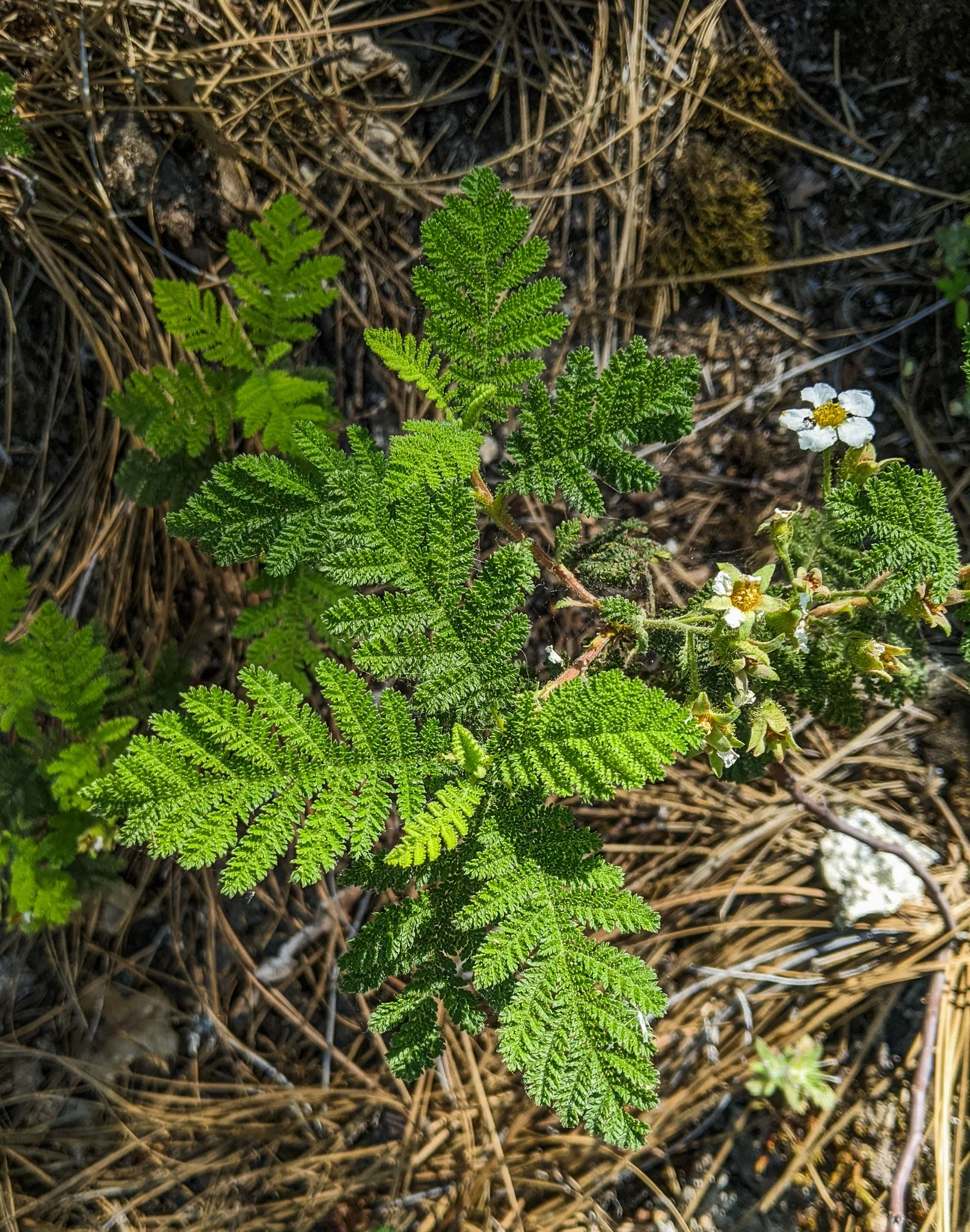 PXL_20220527_192106571.jpg