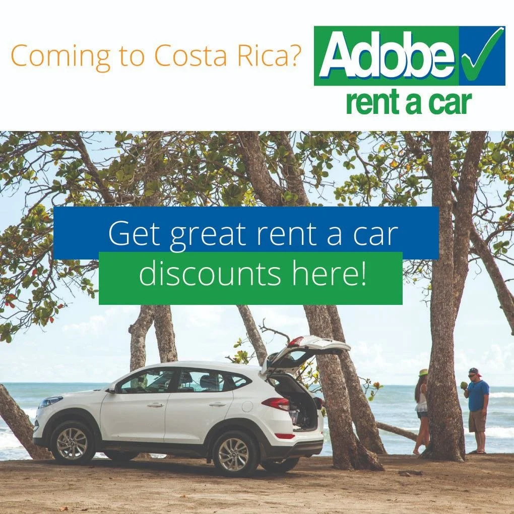 Adobe 2 Sitio Web.jpg