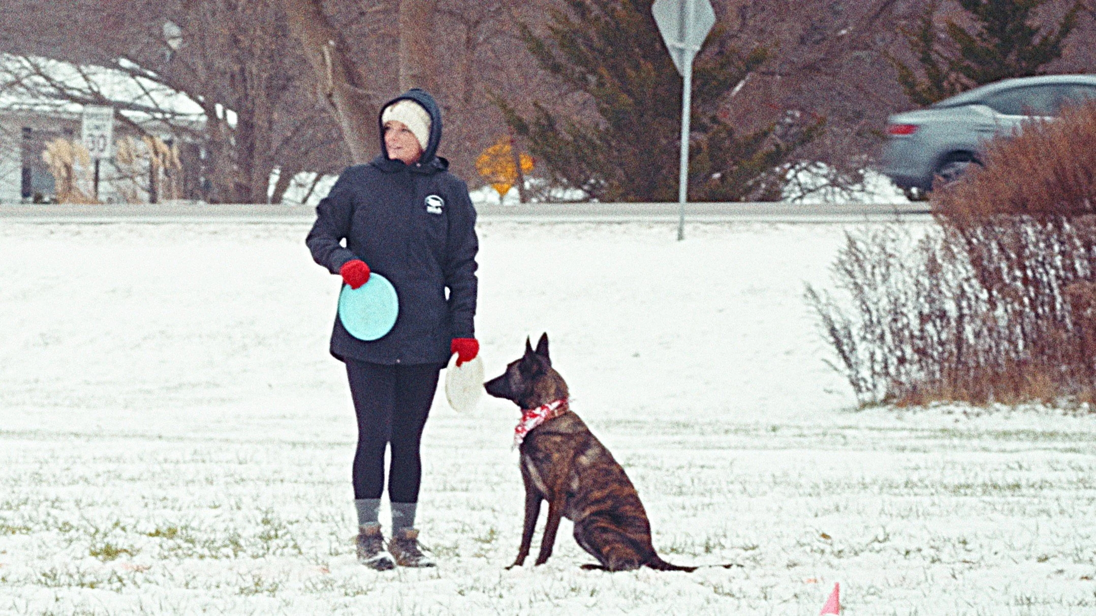 Dog 10 - Disc League