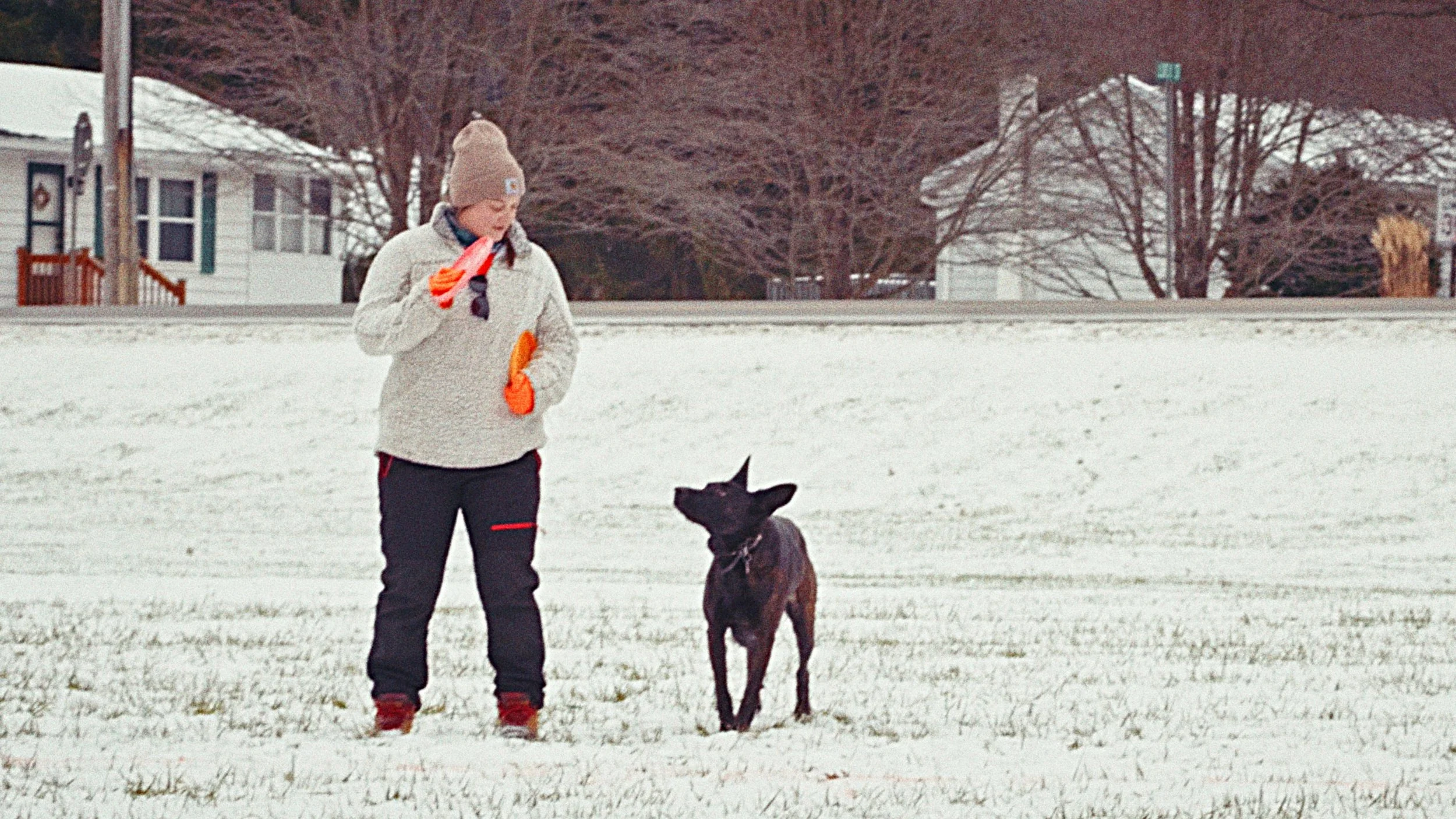 Timeline 1_01_00_00;03.jpg