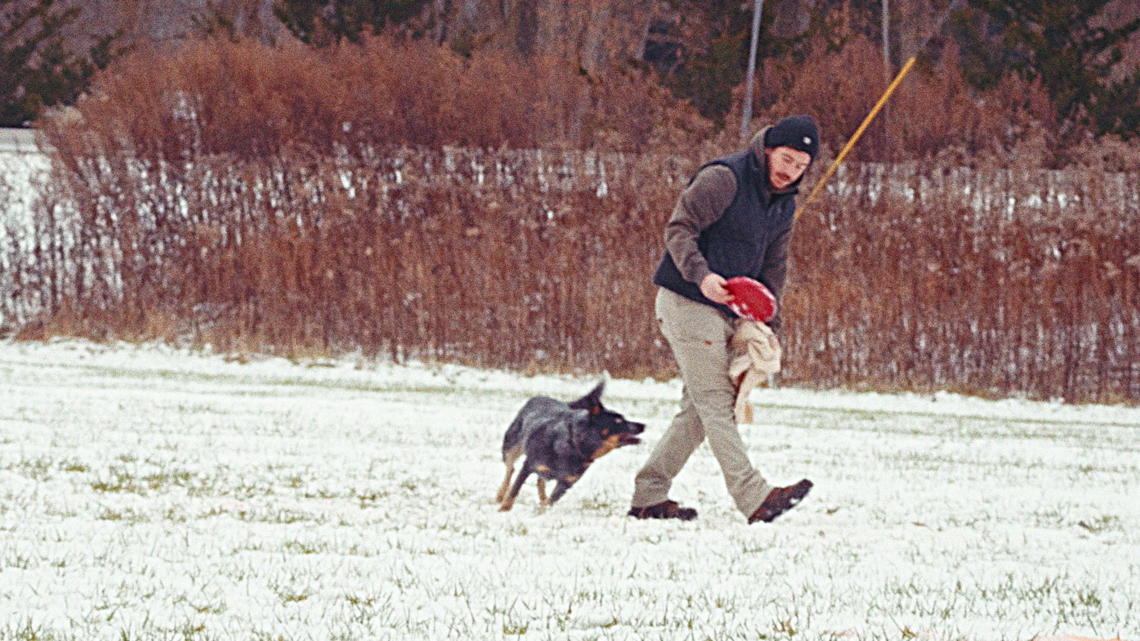 Dog 12 - Disc League