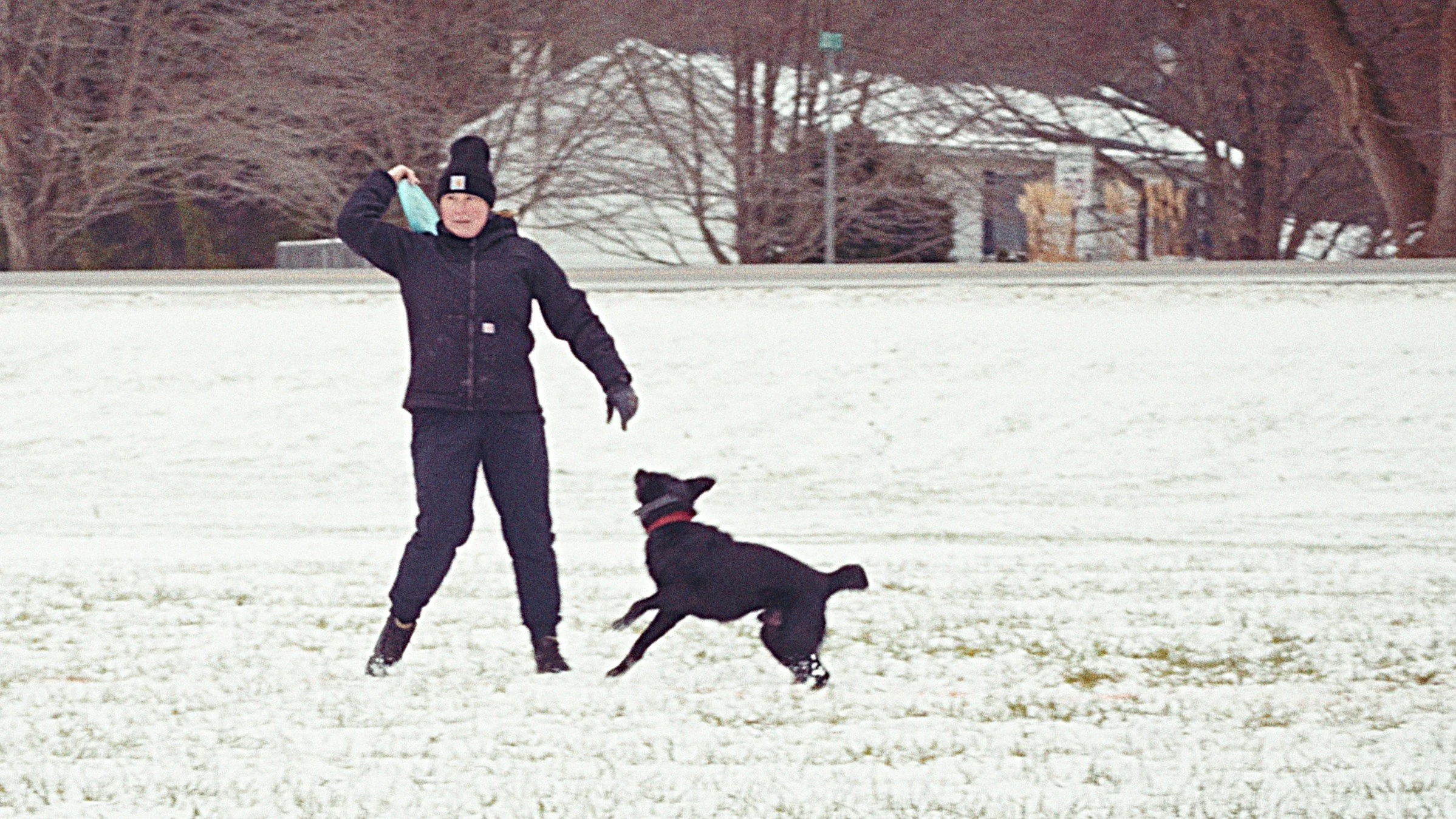 Timeline 1_01_00_27;12.jpg