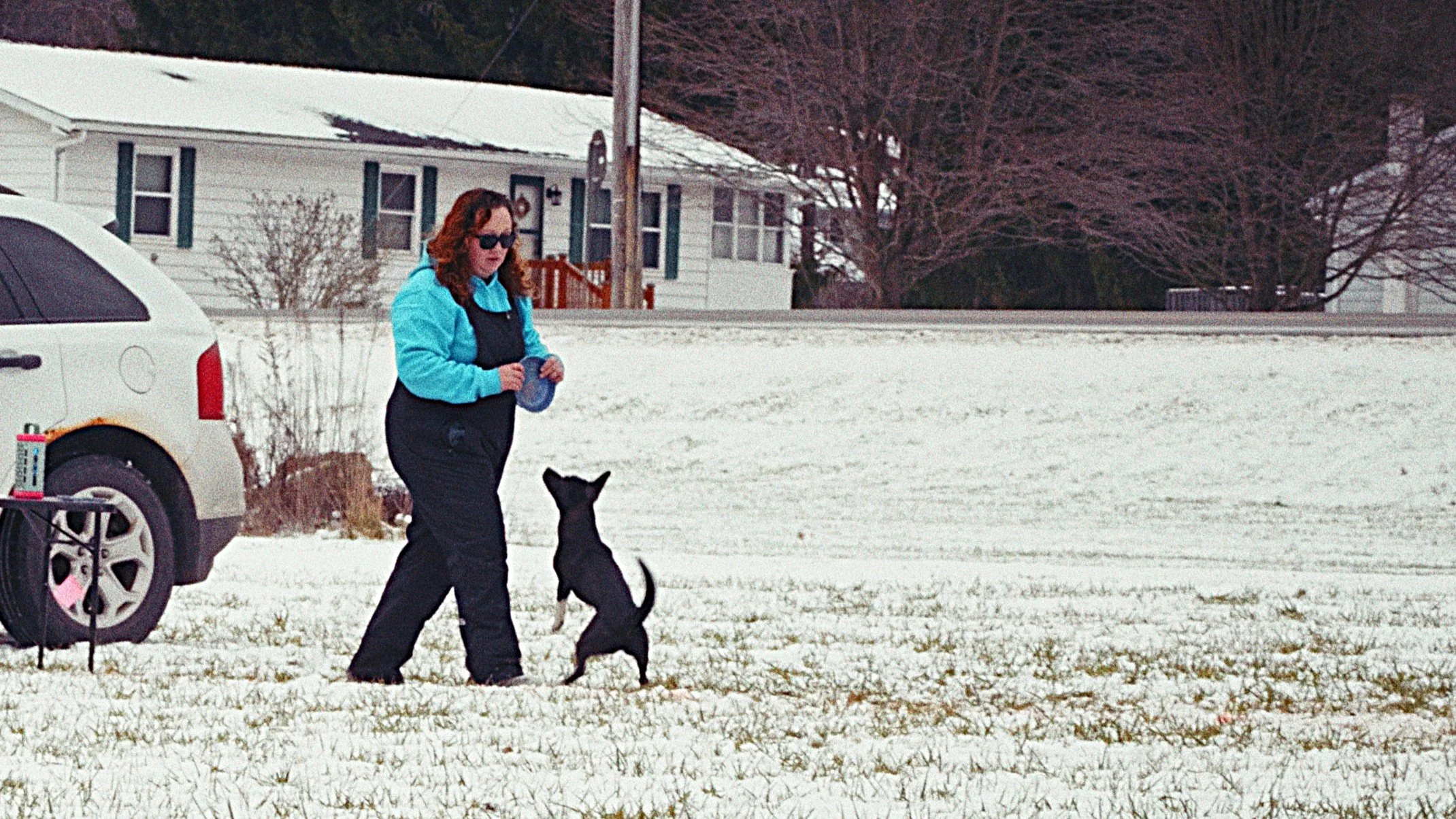 Dog 16 - Disc League