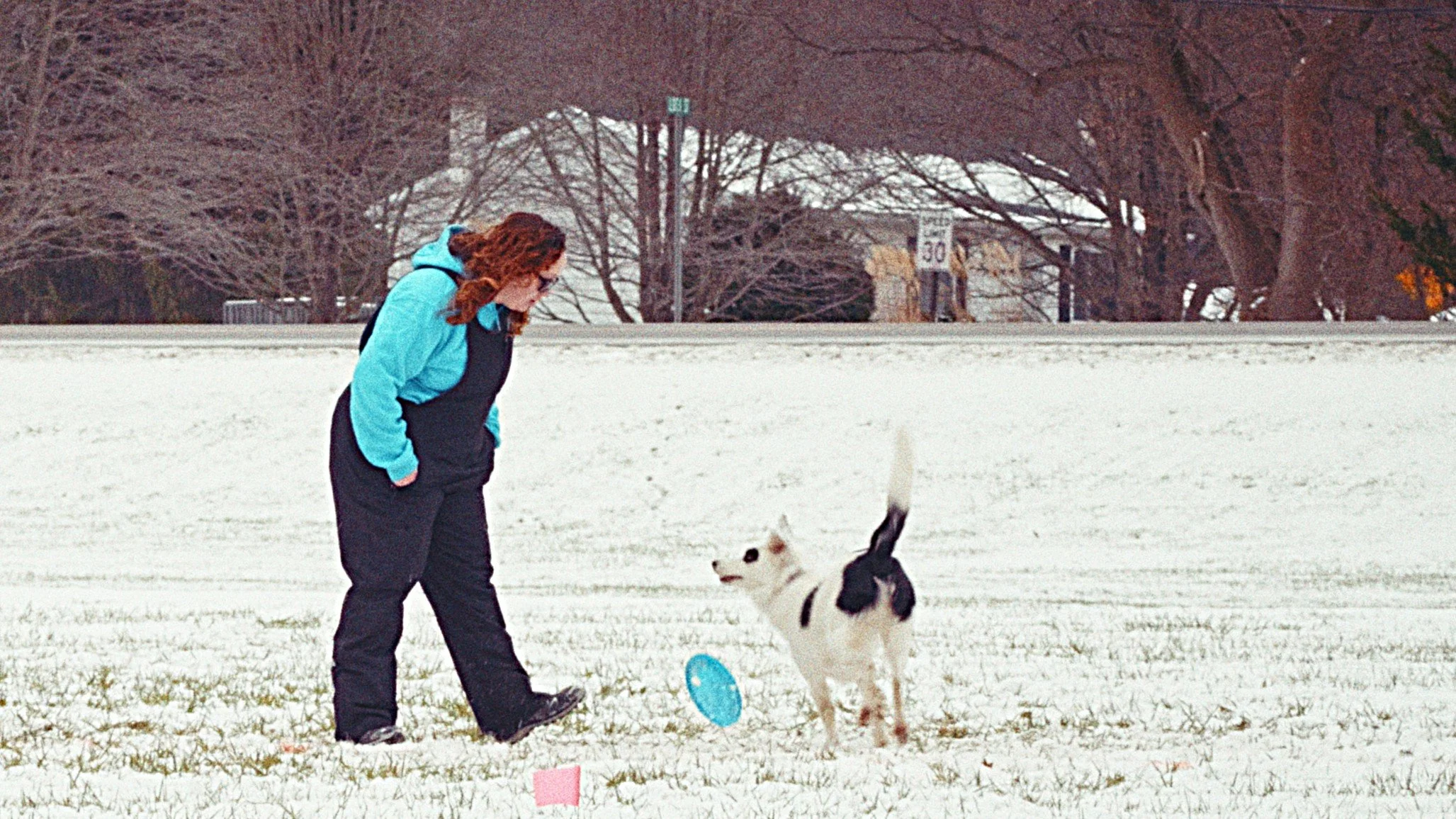 Timeline 1_01_00_12;42.jpg