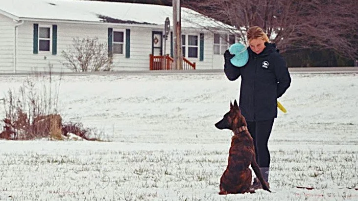 Screenshot 2025-12-11 231359.jpg