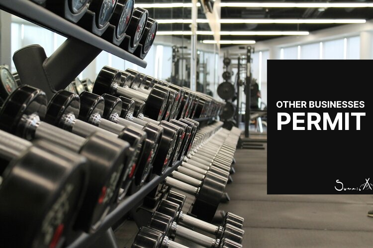 OTHER BUSINESSES PERMIT