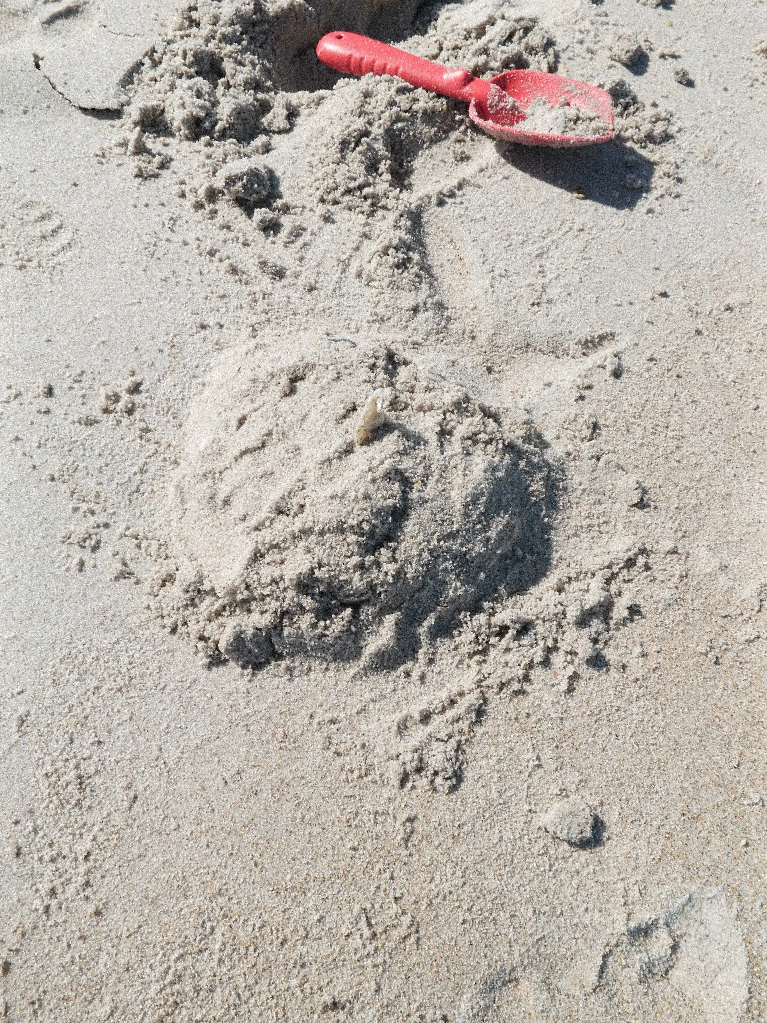 fujifilm-x-half-compact-film-camera-inspired