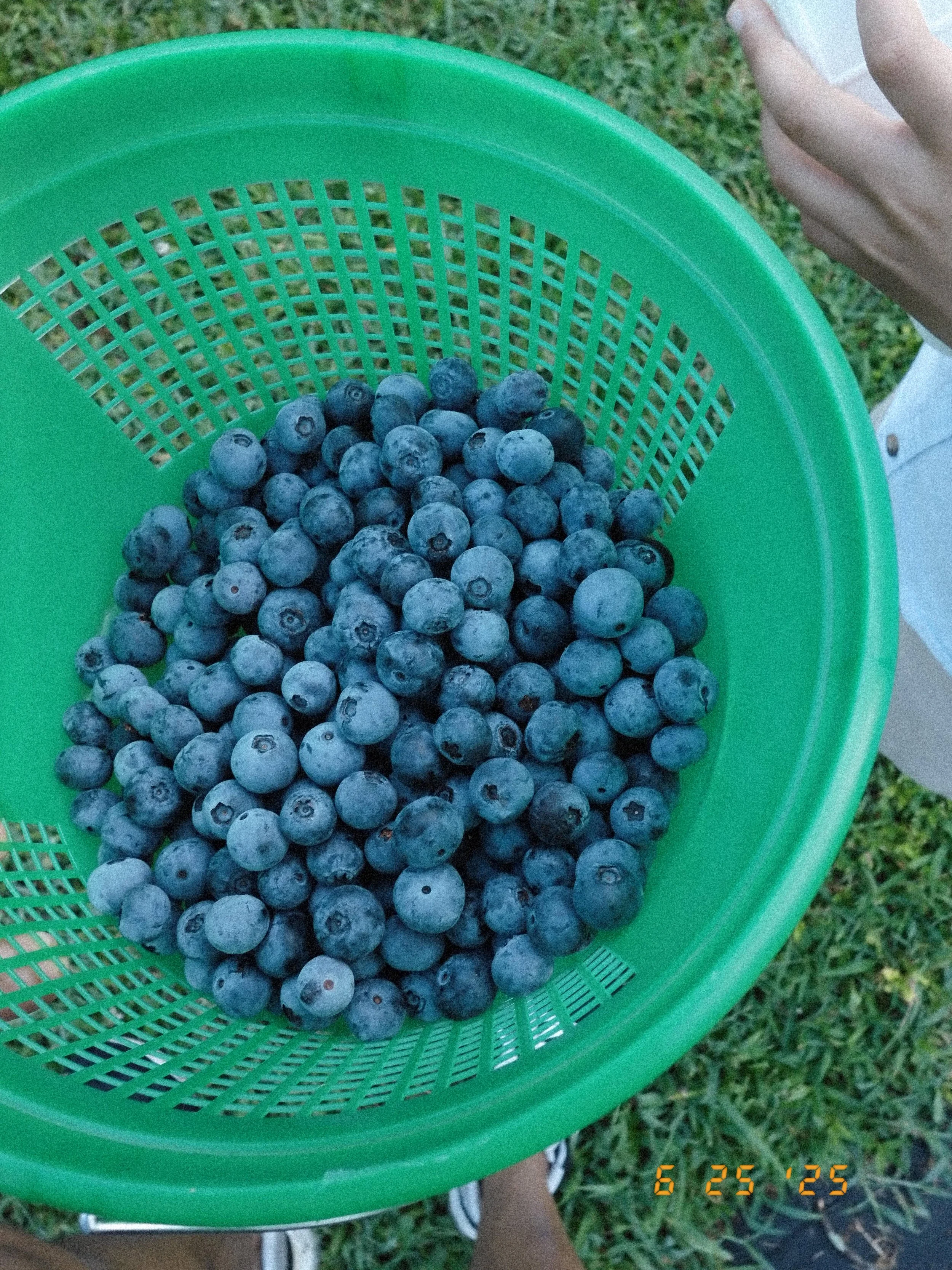 fujifilm-x-half-compact-camera-for-everyday-moments