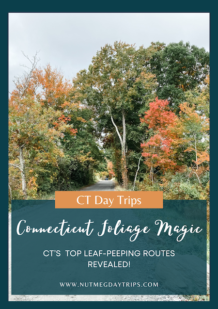 Fall's Foliage Magic: Connecticut's Top Leaf-Peeping Routes Revealed!