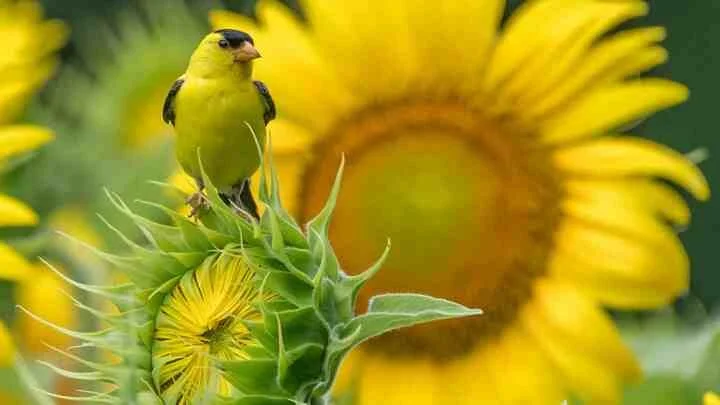Tuesday Evening Women in NW Spokane