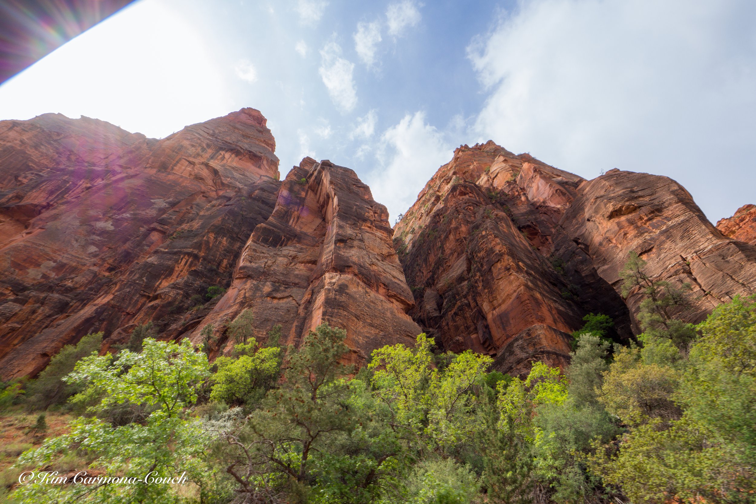 Where the Views Never Repeat: A Zion Recap