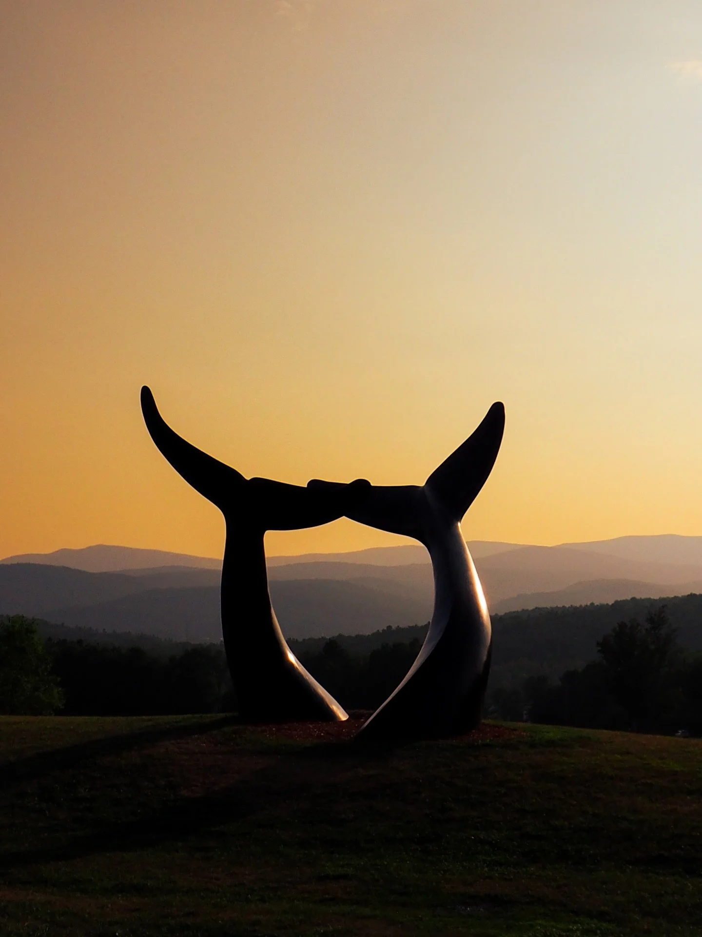 Almost sunset + a giant pair of whale tails = a pretty perfect roadside stop. 🐋✨ 

Whale Dance was created by Vermont sculptor Jim Sardonis and has been calling Randolph, Vermont home since 2019. At 16 feet tall, the bronze tails look like they&rsqu