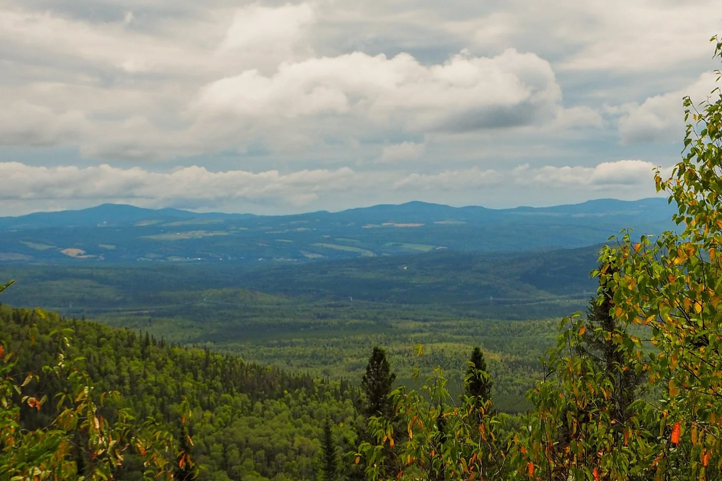 Finally carved out some time to sit down and edit my Quebec trip photos. This one&rsquo;s from Parc National des Grands-Jardins &mdash; an absolutely stunning spot.

Of course, my batteries died mid-trip and my charger quit on me 🙃. Ended up dusting