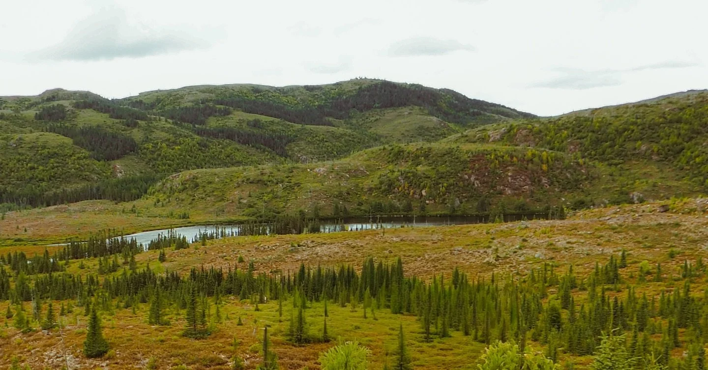 It&rsquo;s like the weather in Charlevoix has a personal vendetta against us. Last year, on this same Saturday, we had moody, rainy skies, and this year, at Parc national des Grands-Jardins, it was d&eacute;j&agrave; vu.

We started driving through t