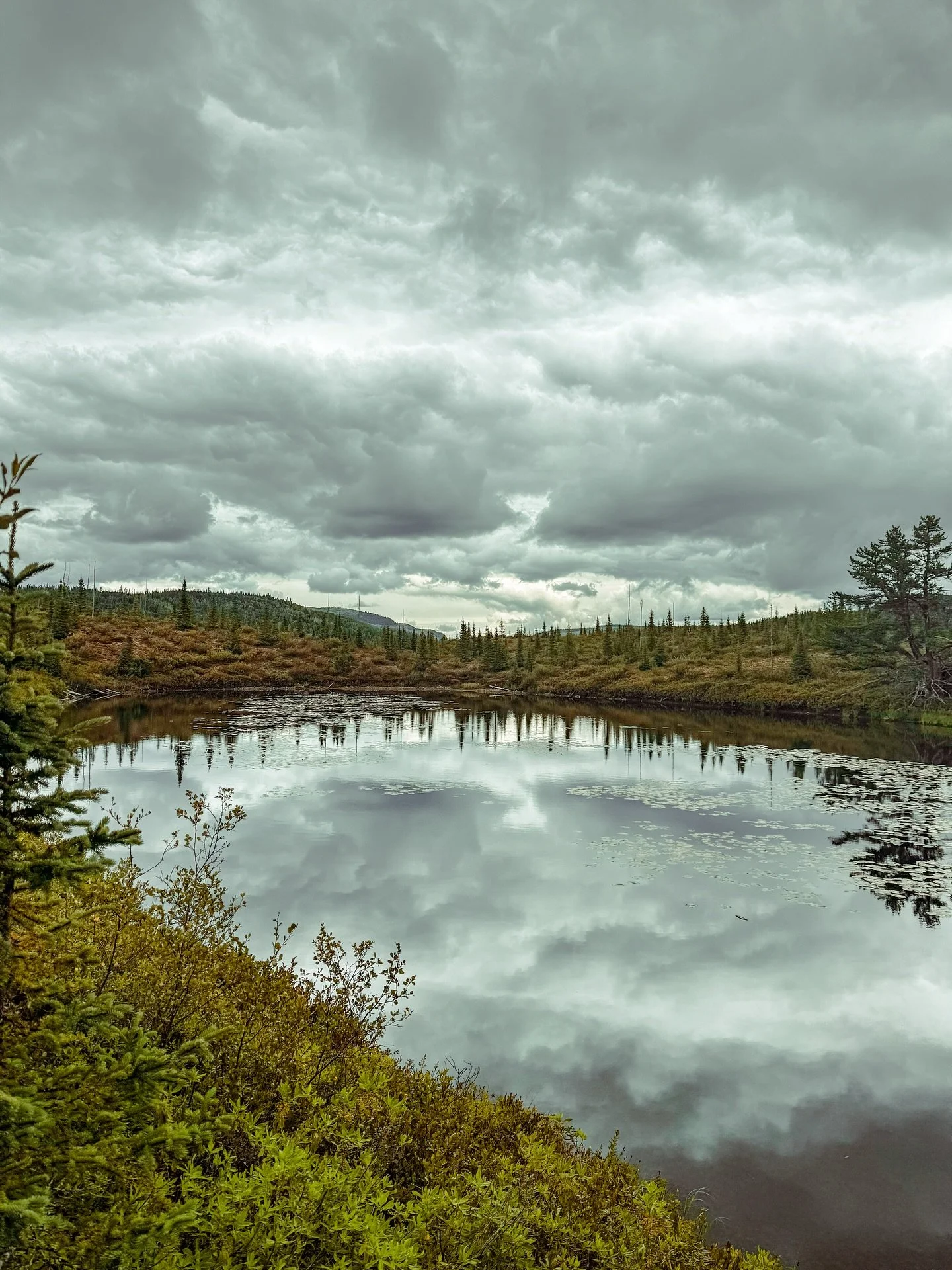 The skies had gone from dramatic to downright dark when we were wrapping up our drive and getting ready to leave Parc national des Grands-Jardins.

The clouds sank low, the air got heavy, and the park felt like it was holding its breath. We made it o