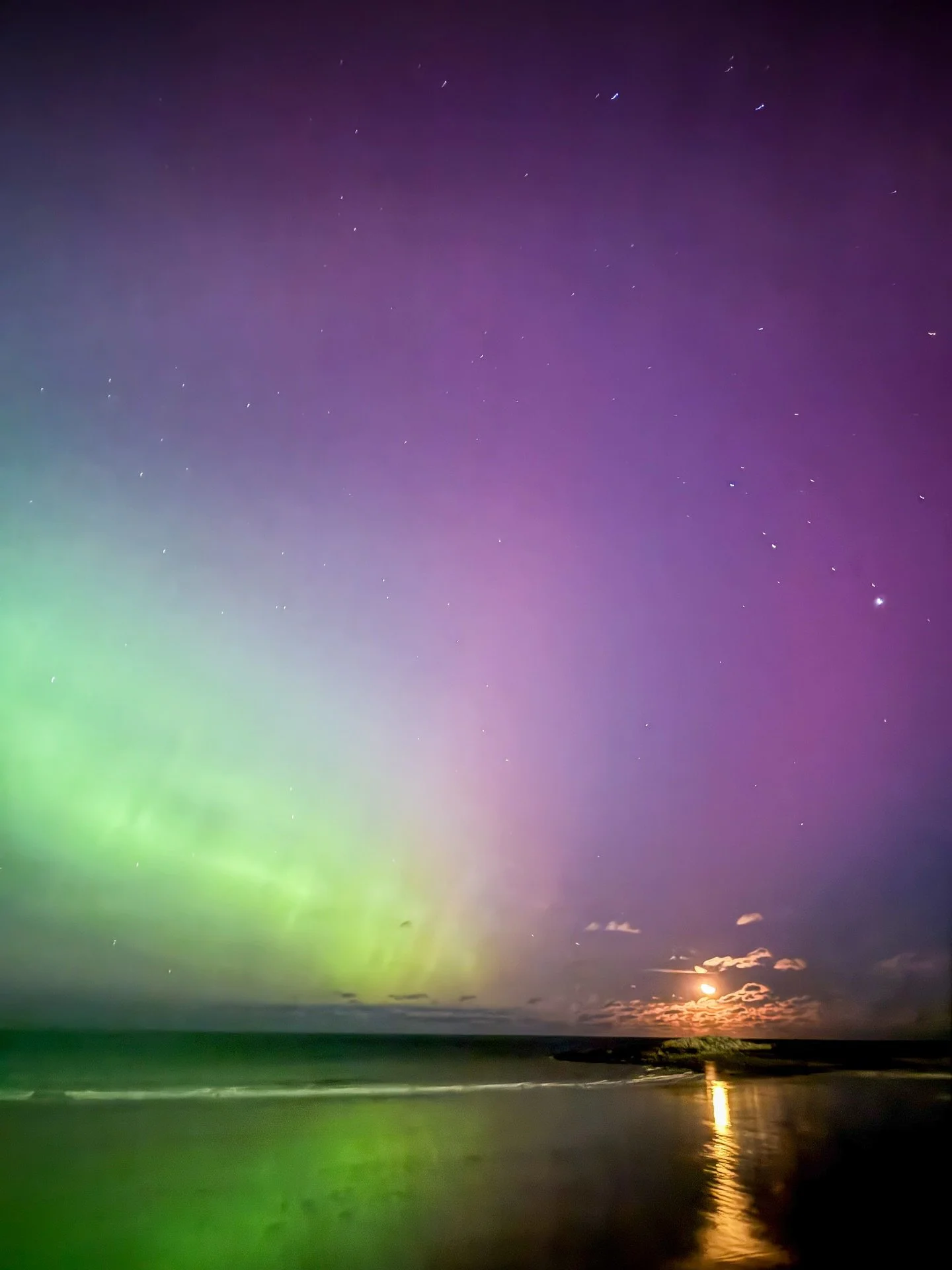 Third time this year catching the northern lights. And this is the second time I've seen them right here in Massachusetts, after seeing them last October. 💜💚

I started the night in Boston and then headed to Hull, and both spots had the sky absolut