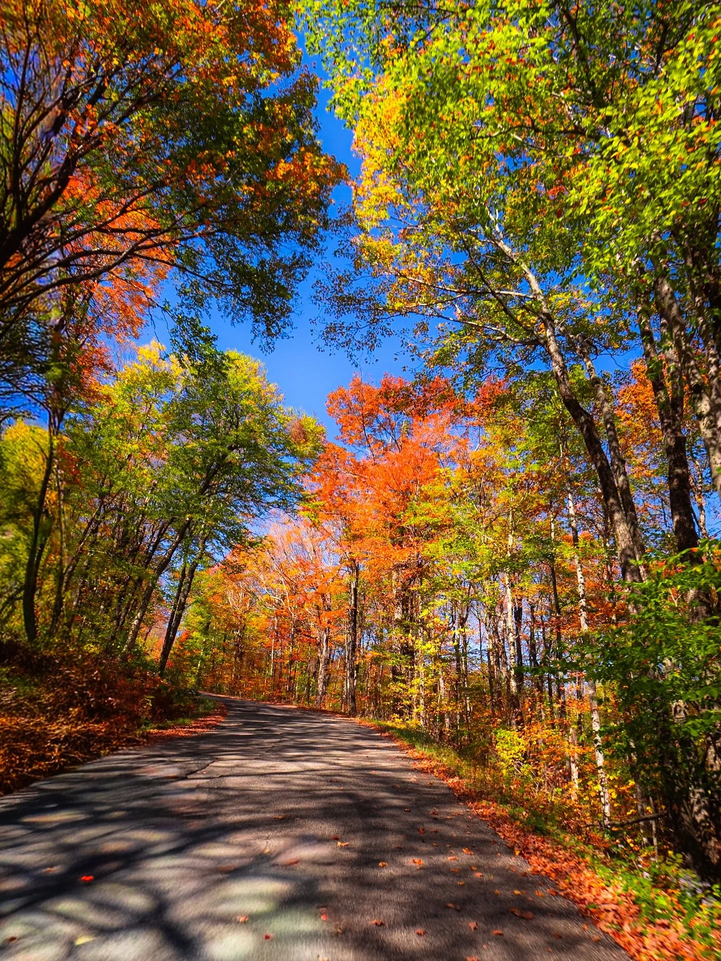 There&rsquo;s something about Vermont roads in the fall.

It&rsquo;s the perfect mix of green, orange, red and yellow that makes every turn feel like a little surprise. You just never know what to  expect. 

📸: Olympus OM-D E-M10 Il
⸻
#vermontfall #