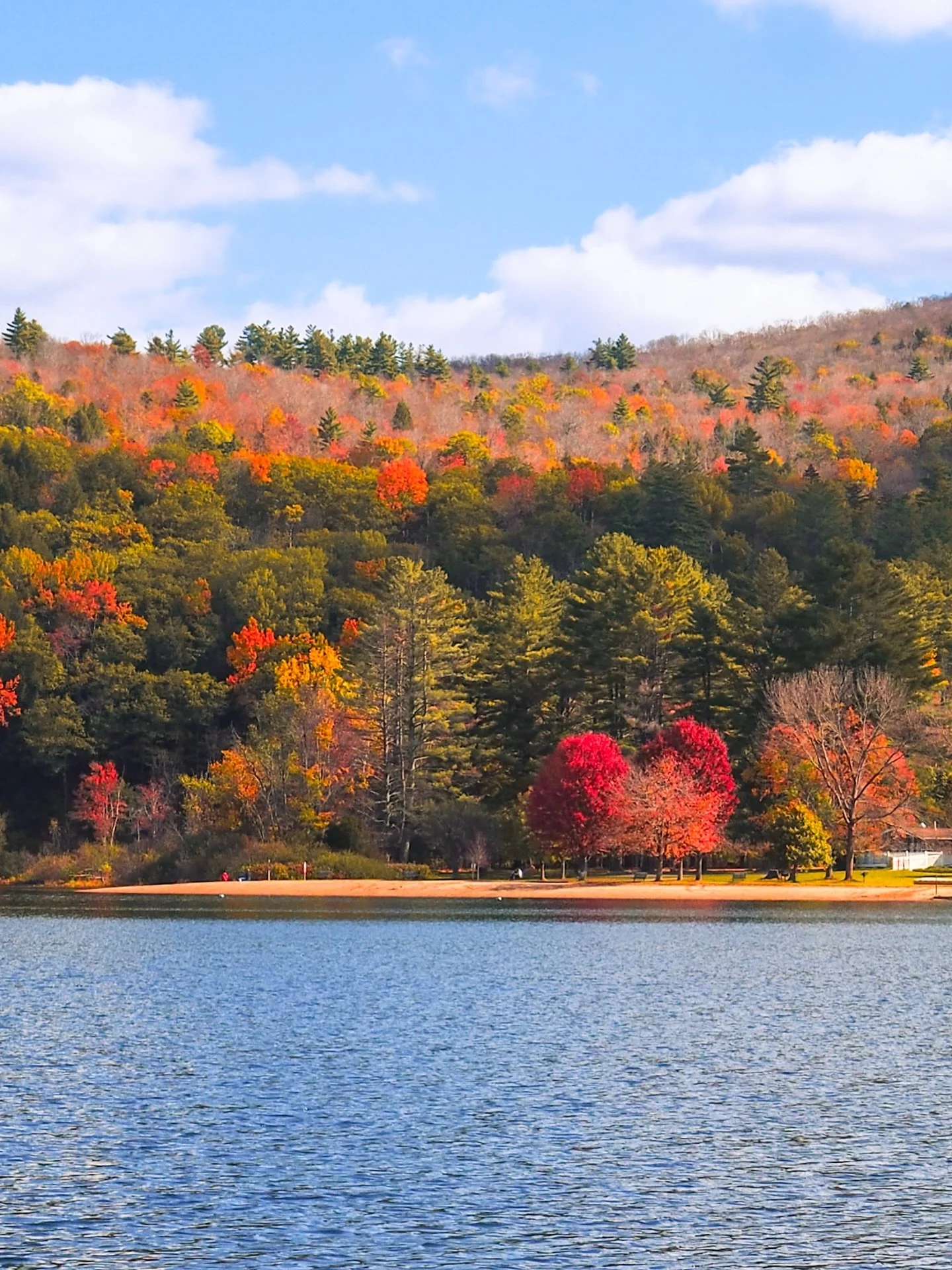 This fall felt quieter in Vermont &mdash; fewer bursts of color, but the views still had that charm. Sometimes you just have to keep driving to find those hidden pockets of fall.

Thankfully for me, I love driving through Vermont. 🍂🍁

📸: Olympus O