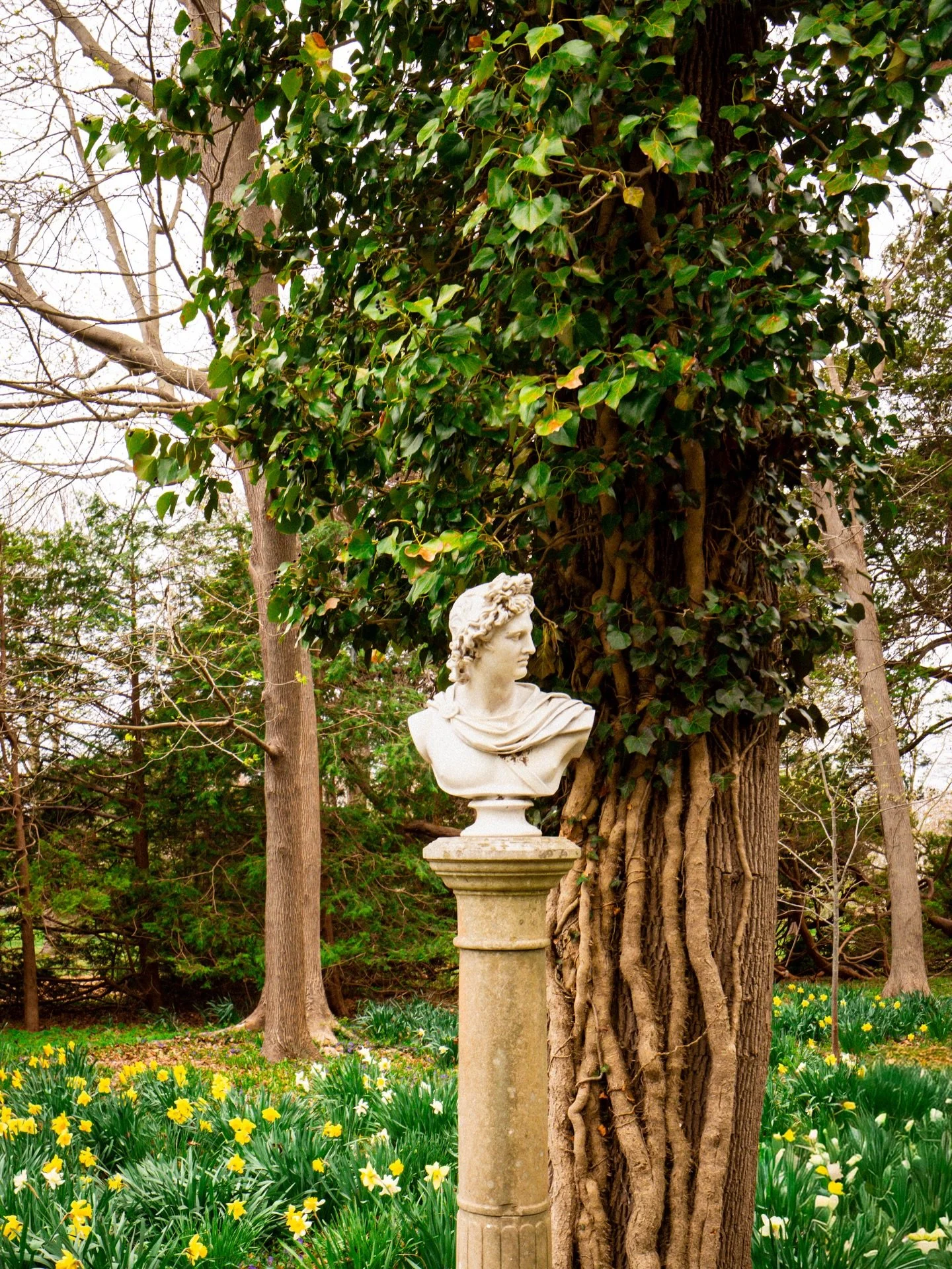 I ended up at Blithewold Mansion, Gardens &amp; Arboretum (@blithewold_ri) thinking it would be a quick stop and somehow stayed way longer than planned.

The property is this mix of a historic mansion, coastal views, and beautifully kept gardens, and