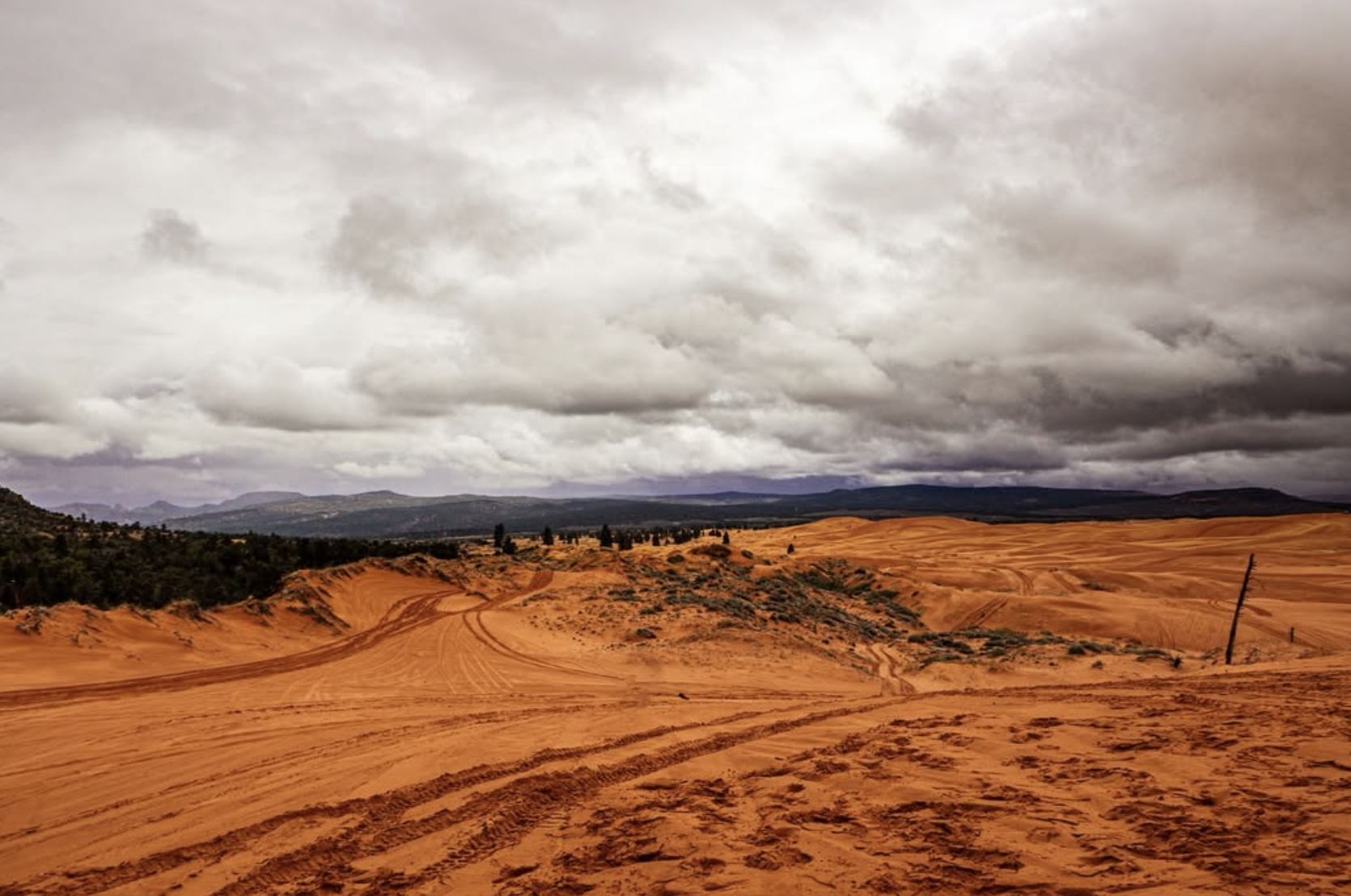 Coral Pink Sand Dunes State Park: Moody Skies, a UTV Ride, and Getting Completely Drenched