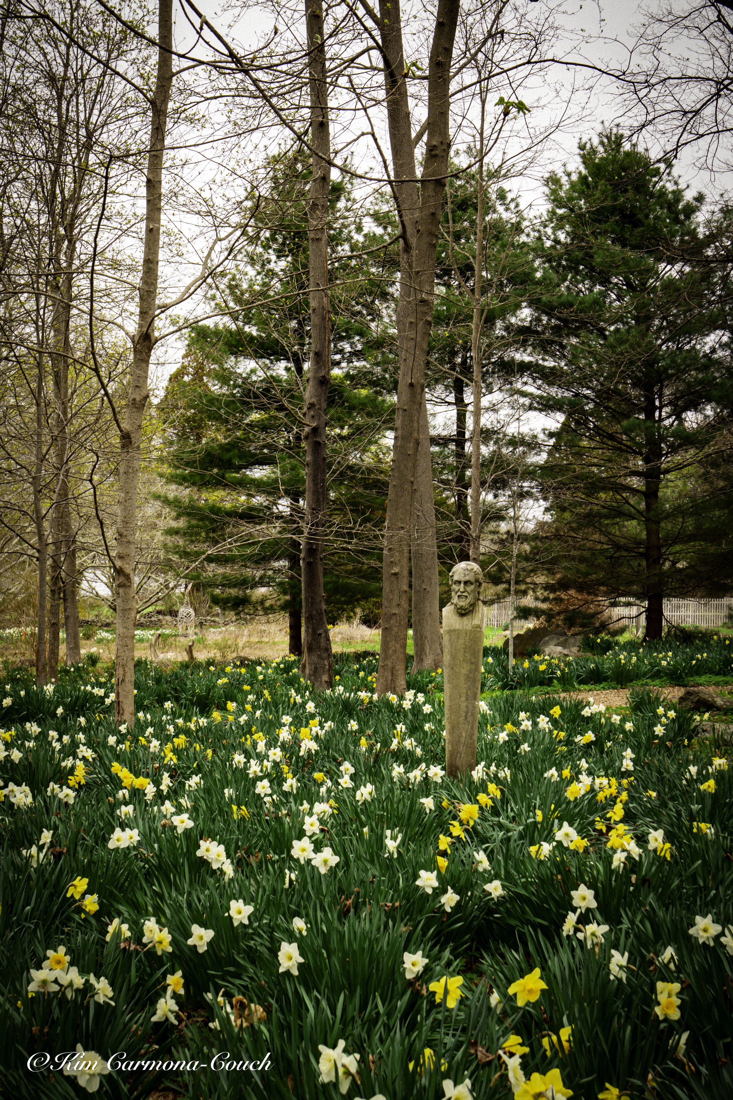 Blithewold Mansion and Gardens in Bristol, RI: A Quick Stop That Turned Into a Full Afternoon