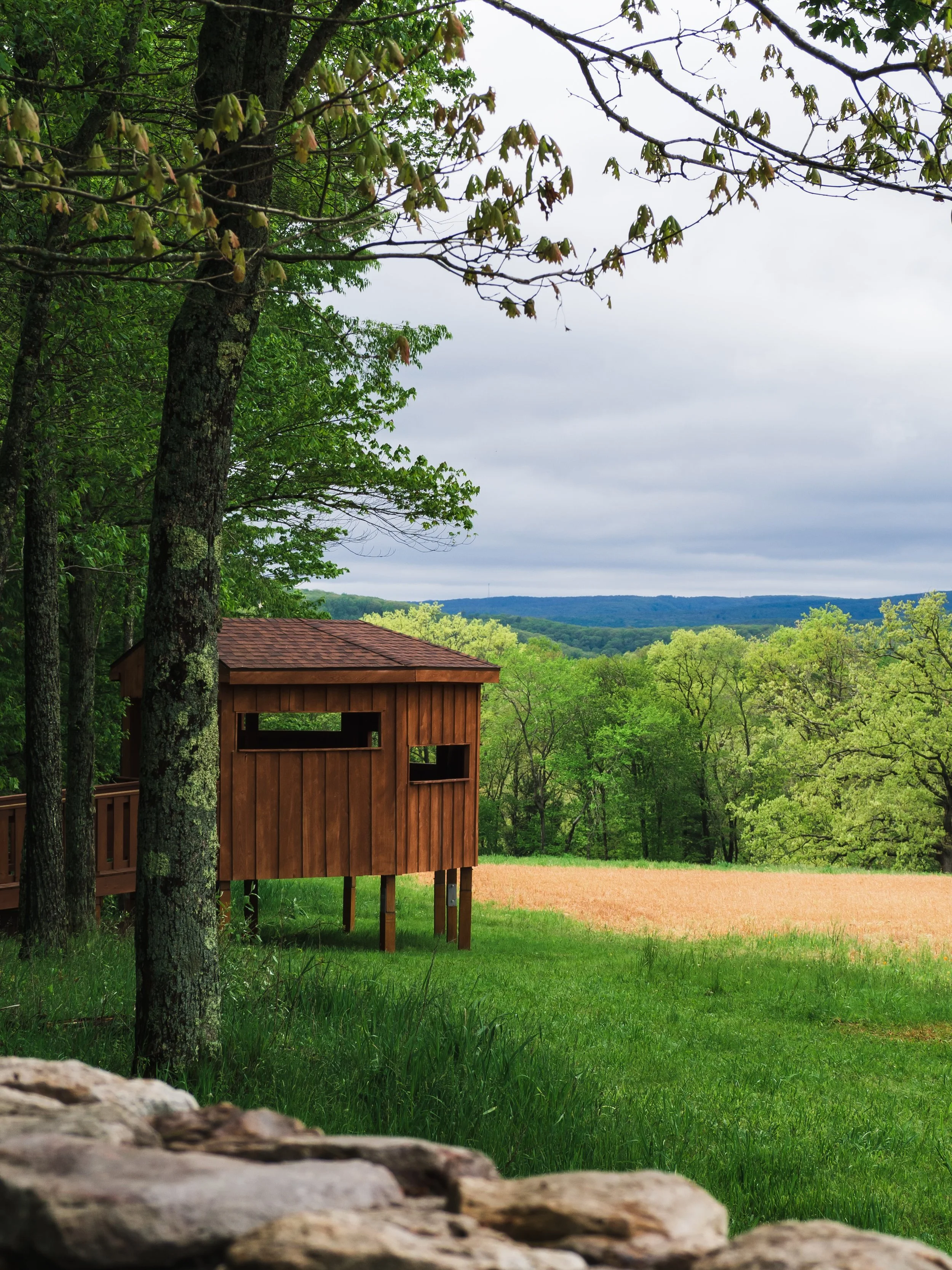 drove out to elk country on a grey Sunday hoping for a sighting. the elk had other plans. 🫎

No luck on the wildlife front but I can not complain too much when the views look like this. Rolling green hills, that particular moody Pennsylvania sky, a 